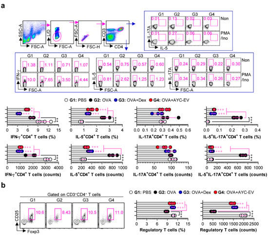 https://www.mdpi.com/cells/cells-11-02805/article_deploy/html/images/cells-11-02805-g008-550.jpg