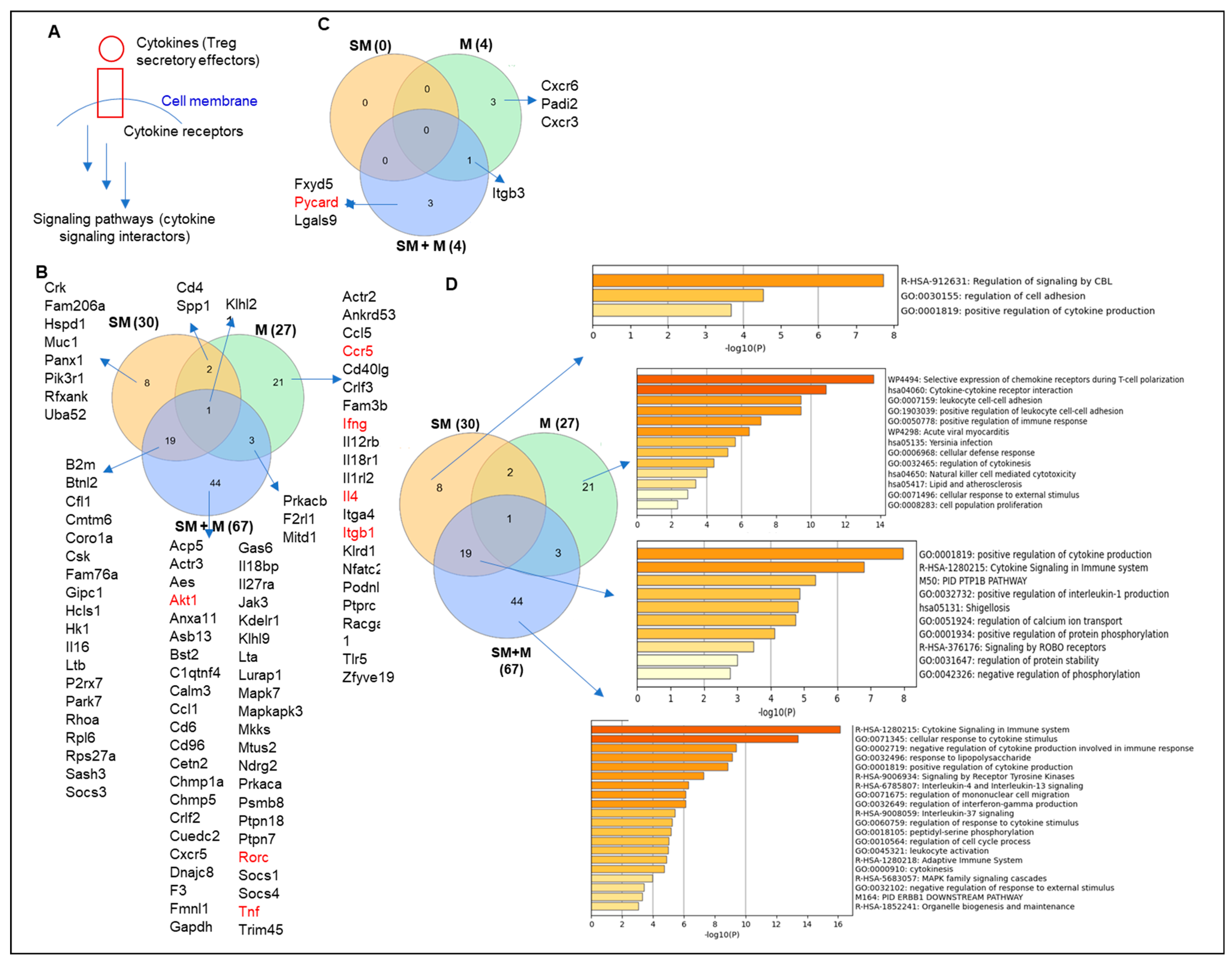 Cells 11 02810 g002 Cells 11 02810 g002