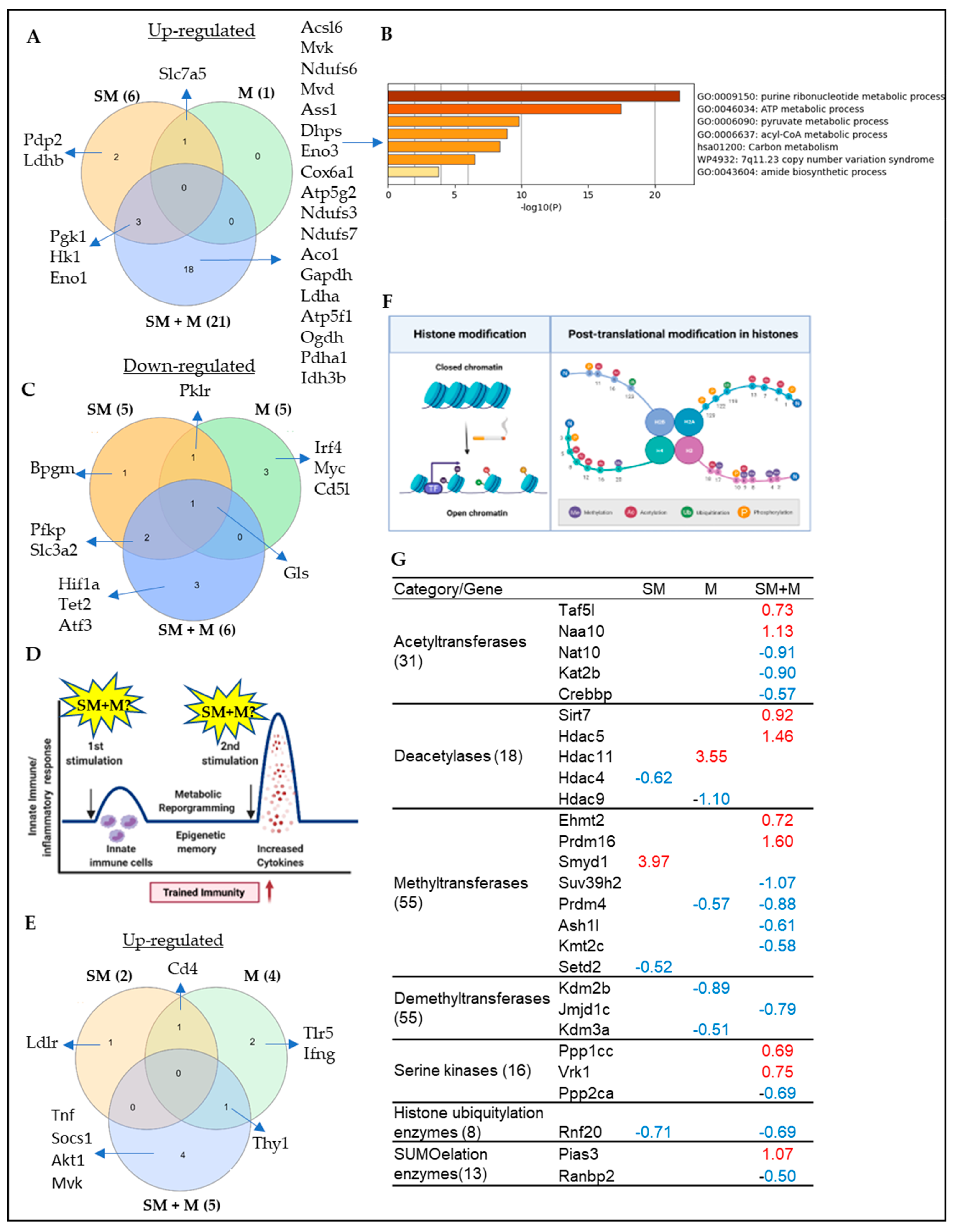 Cells 11 02810 g005 Cells 11 02810 g005