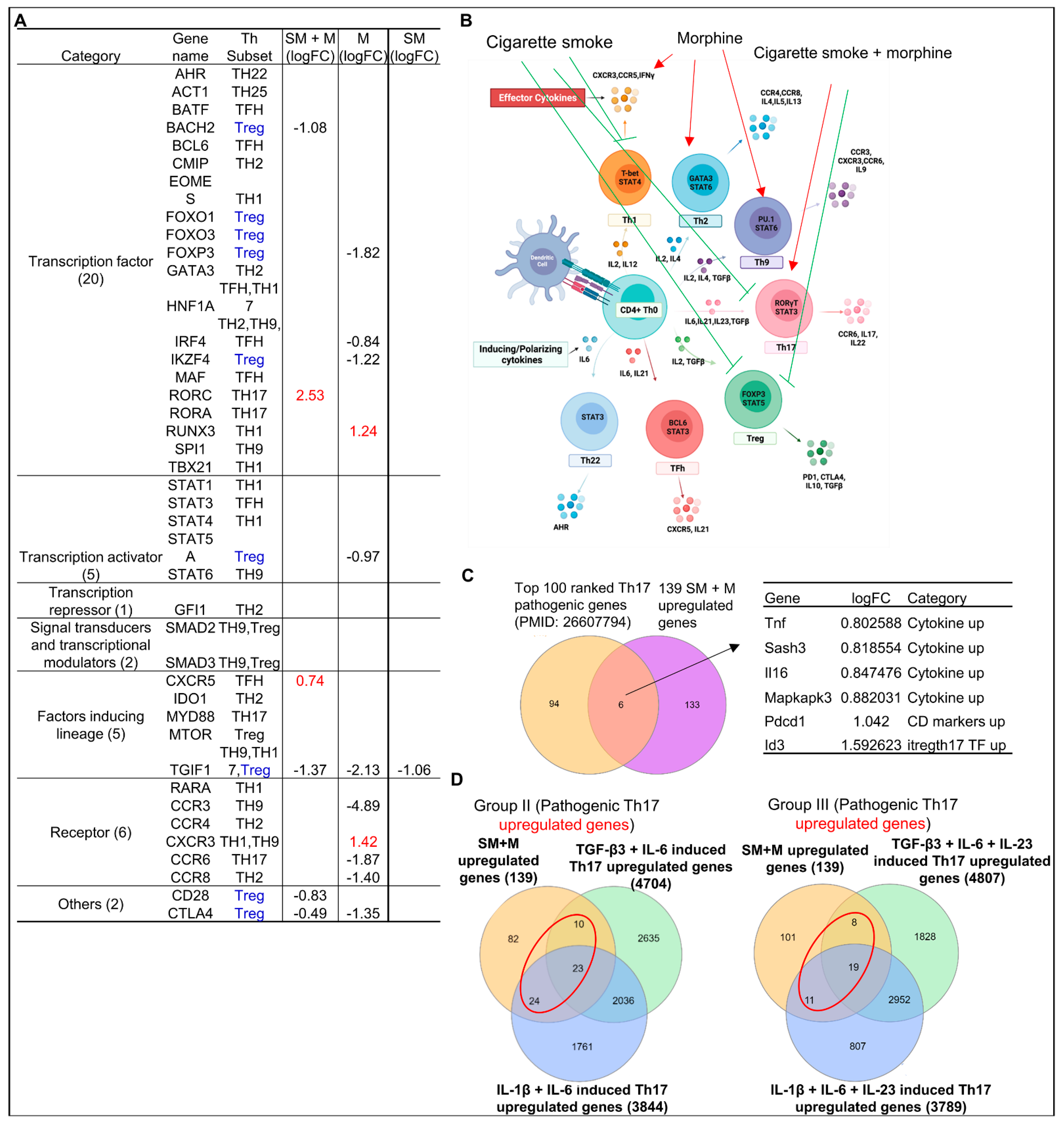 Cells 11 02810 g006 Cells 11 02810 g006