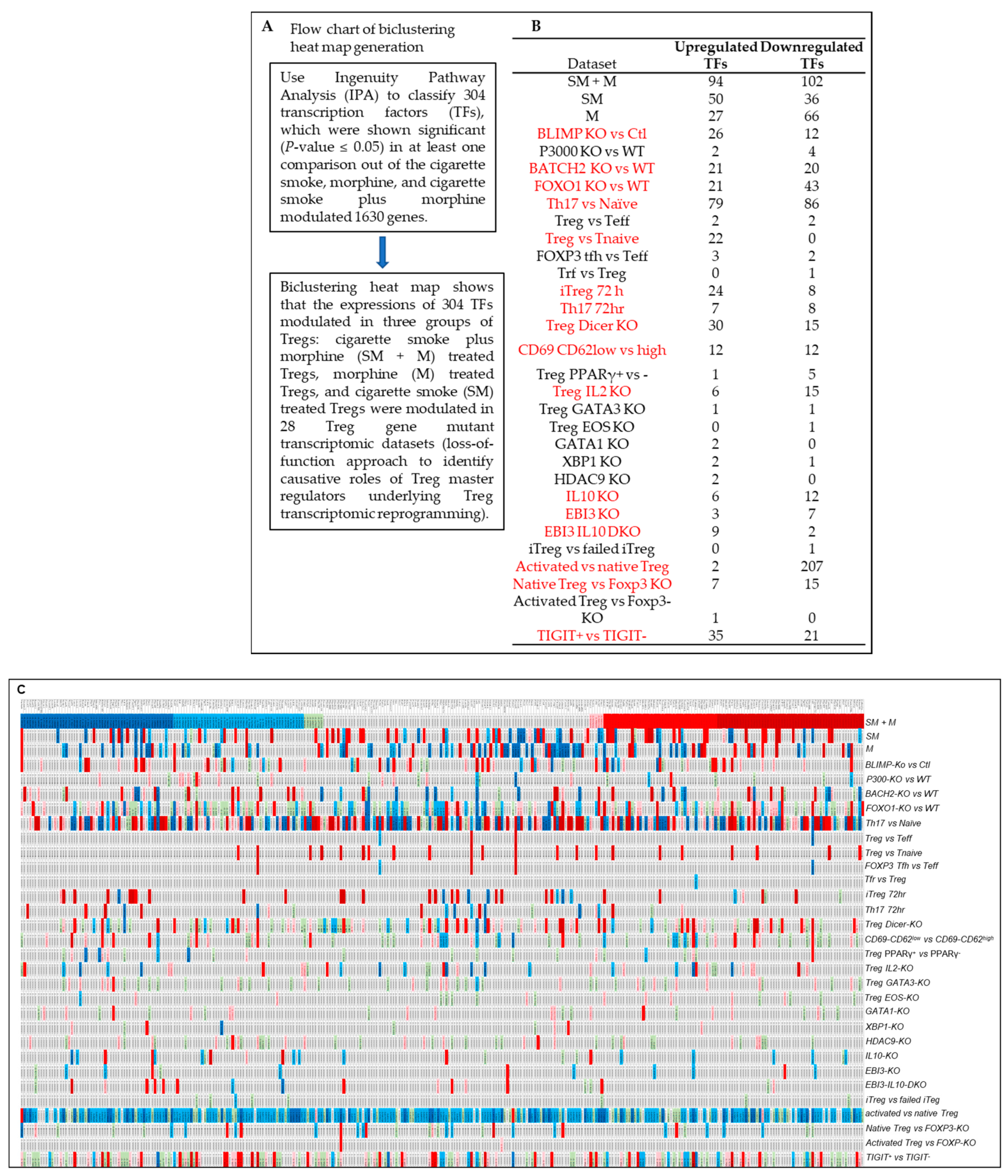 Cells 11 02810 g008 Cells 11 02810 g008