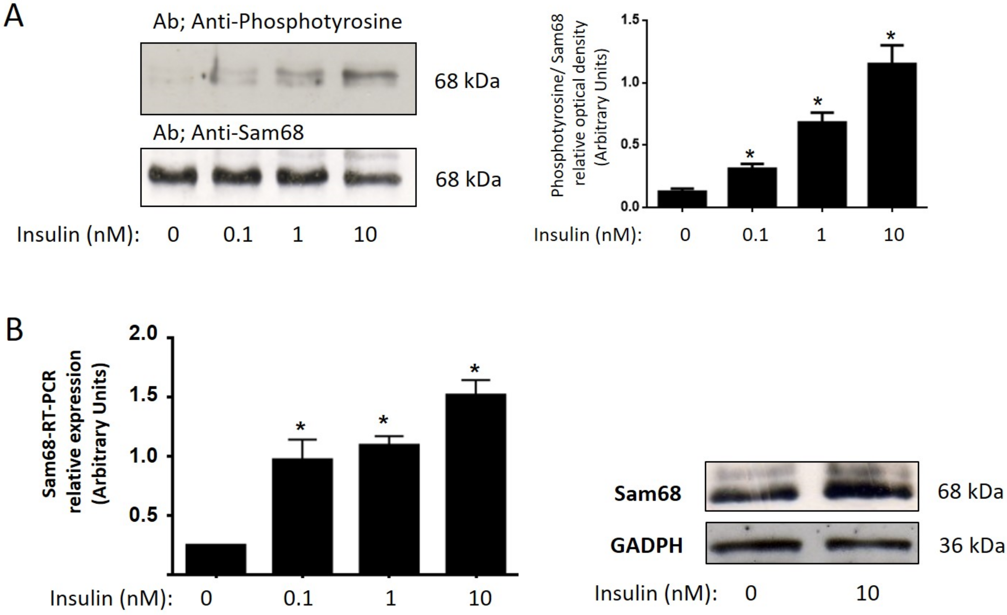 Cells 11 02821 g001 Cells 11 02821 g001
