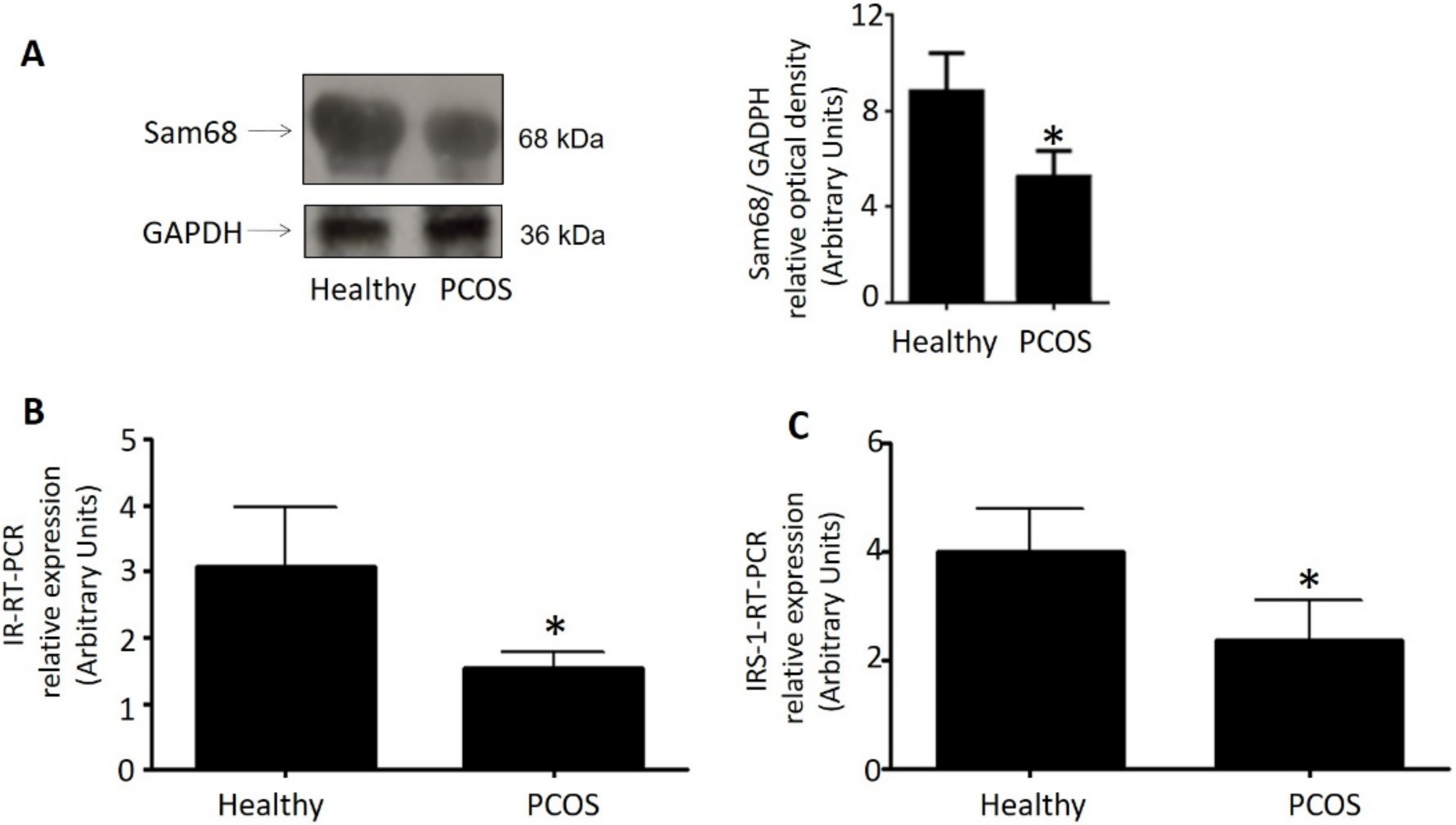 Cells 11 02821 g004 Cells 11 02821 g004