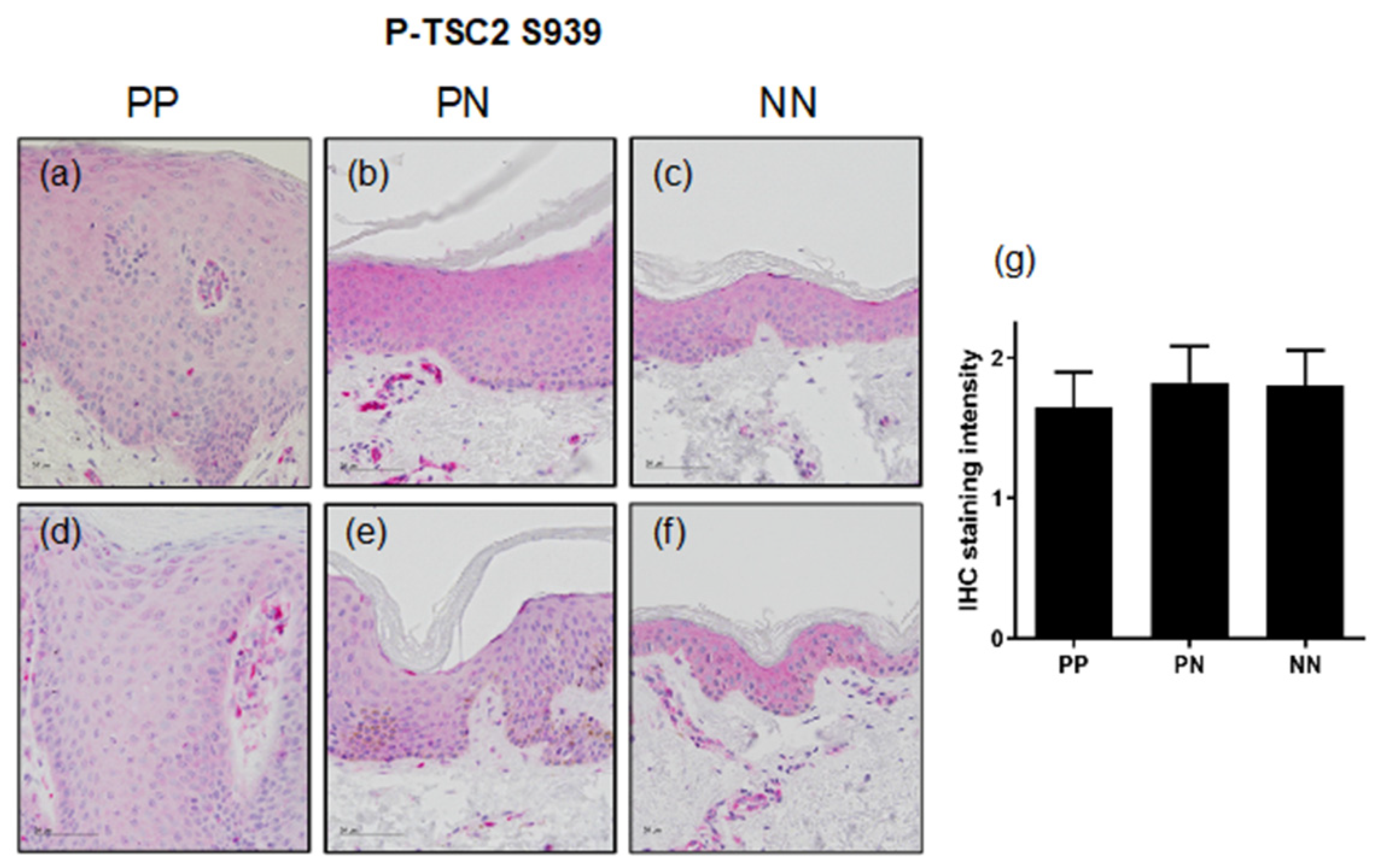 Cells 11 02847 g002