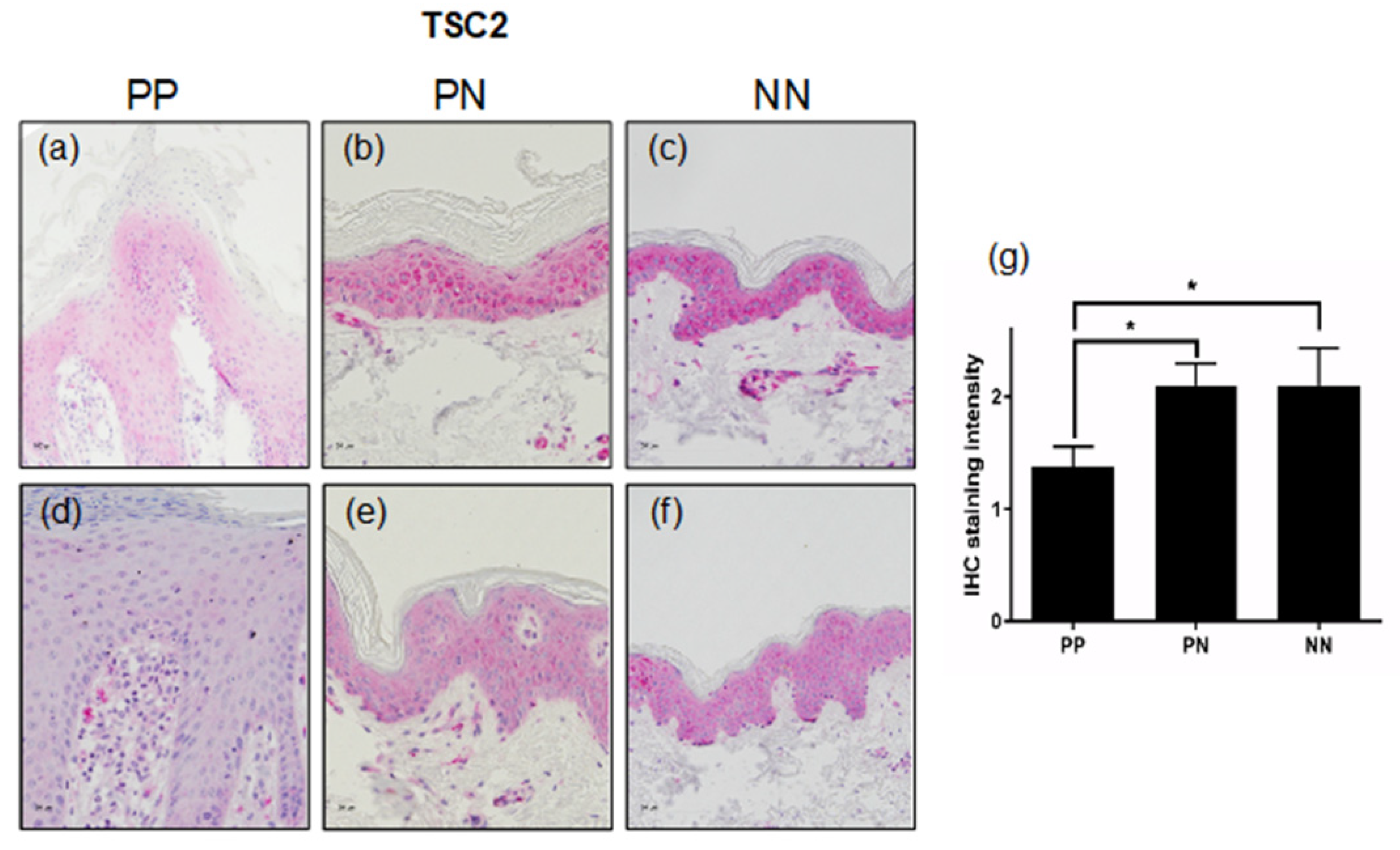 Cells 11 02847 g003