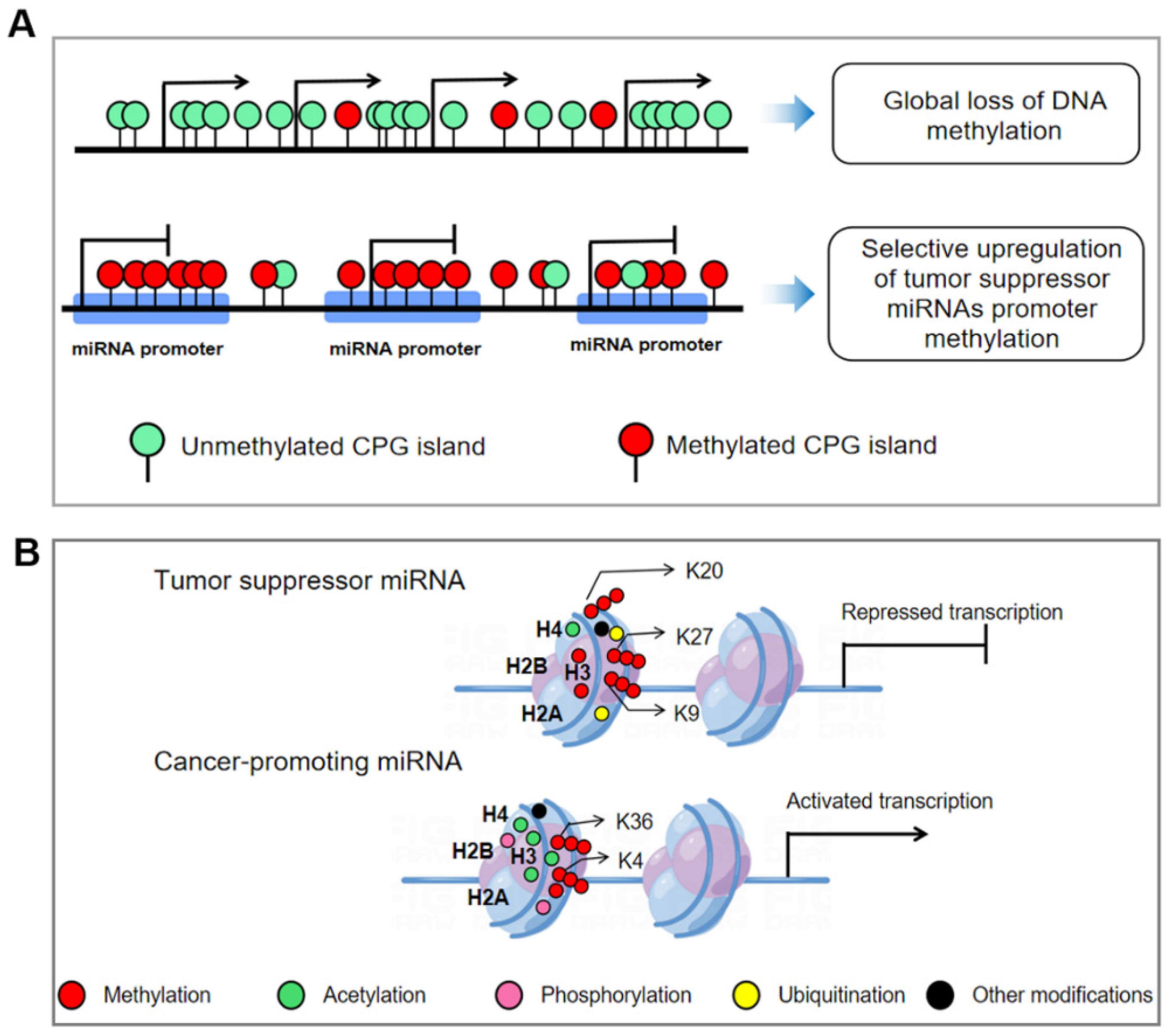 Cells 11 02852 g003 Cells 11 02852 g003