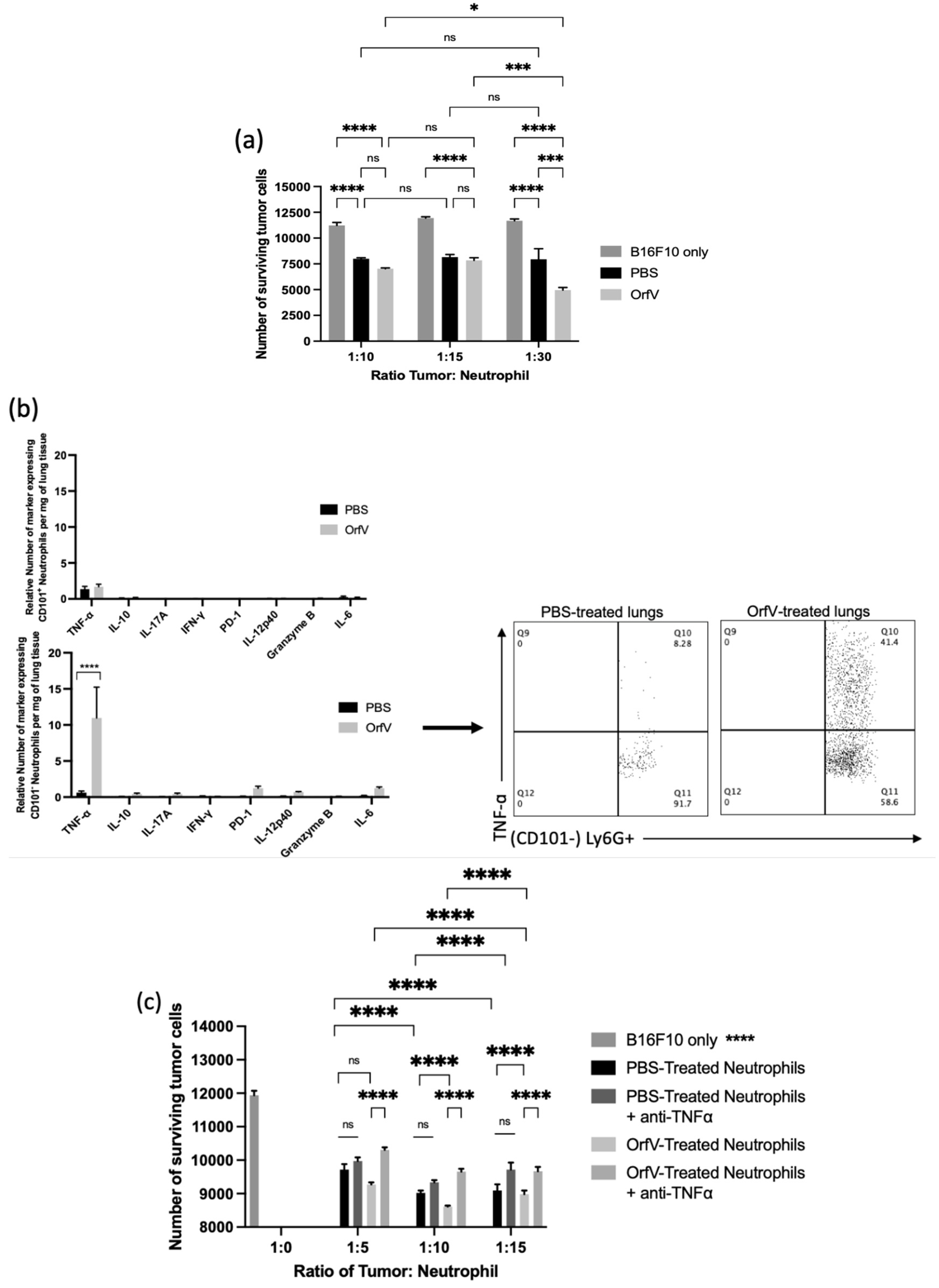 Cells 11 02858 g003
