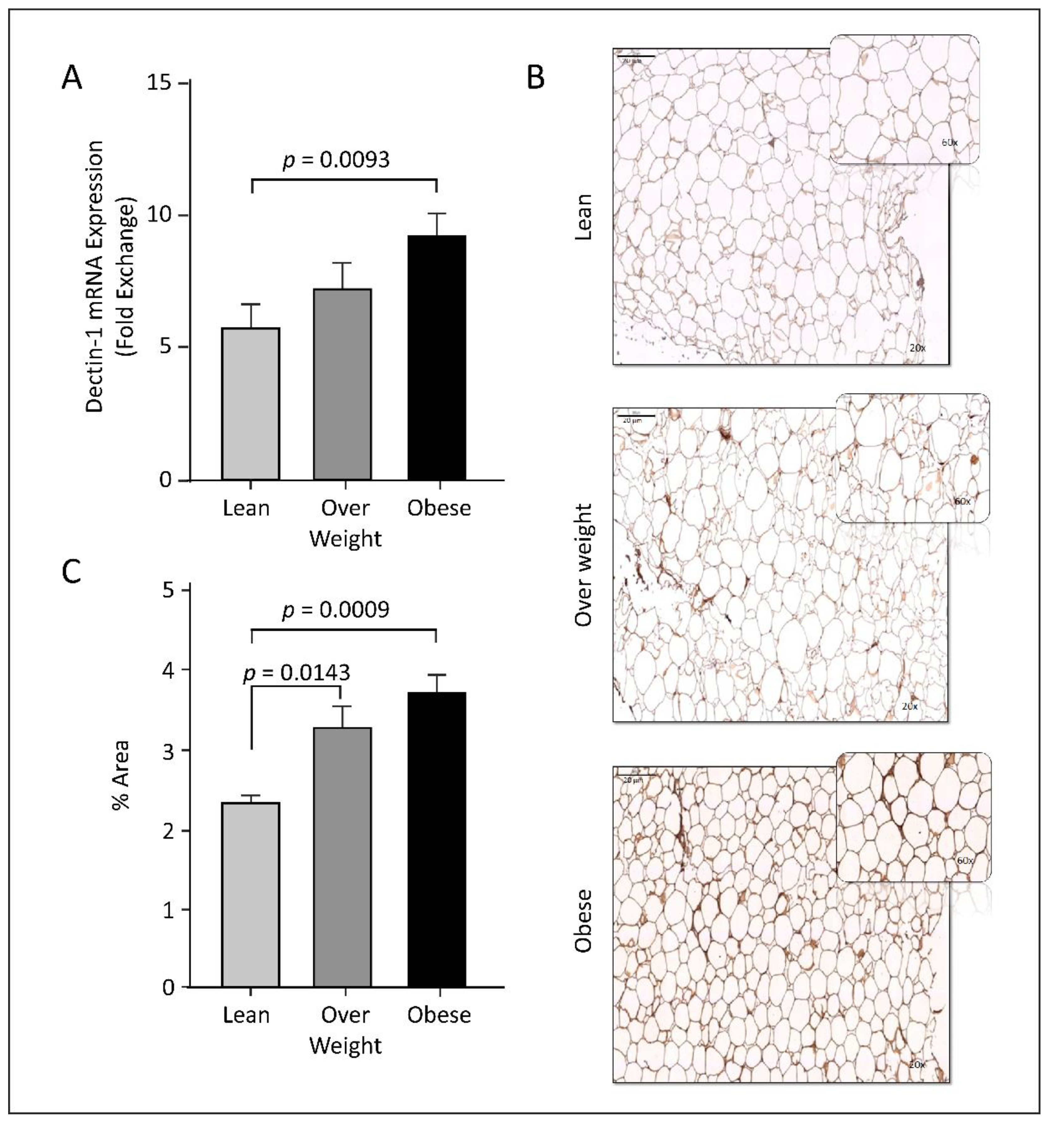 Cells 11 02879 g001 Cells 11 02879 g001