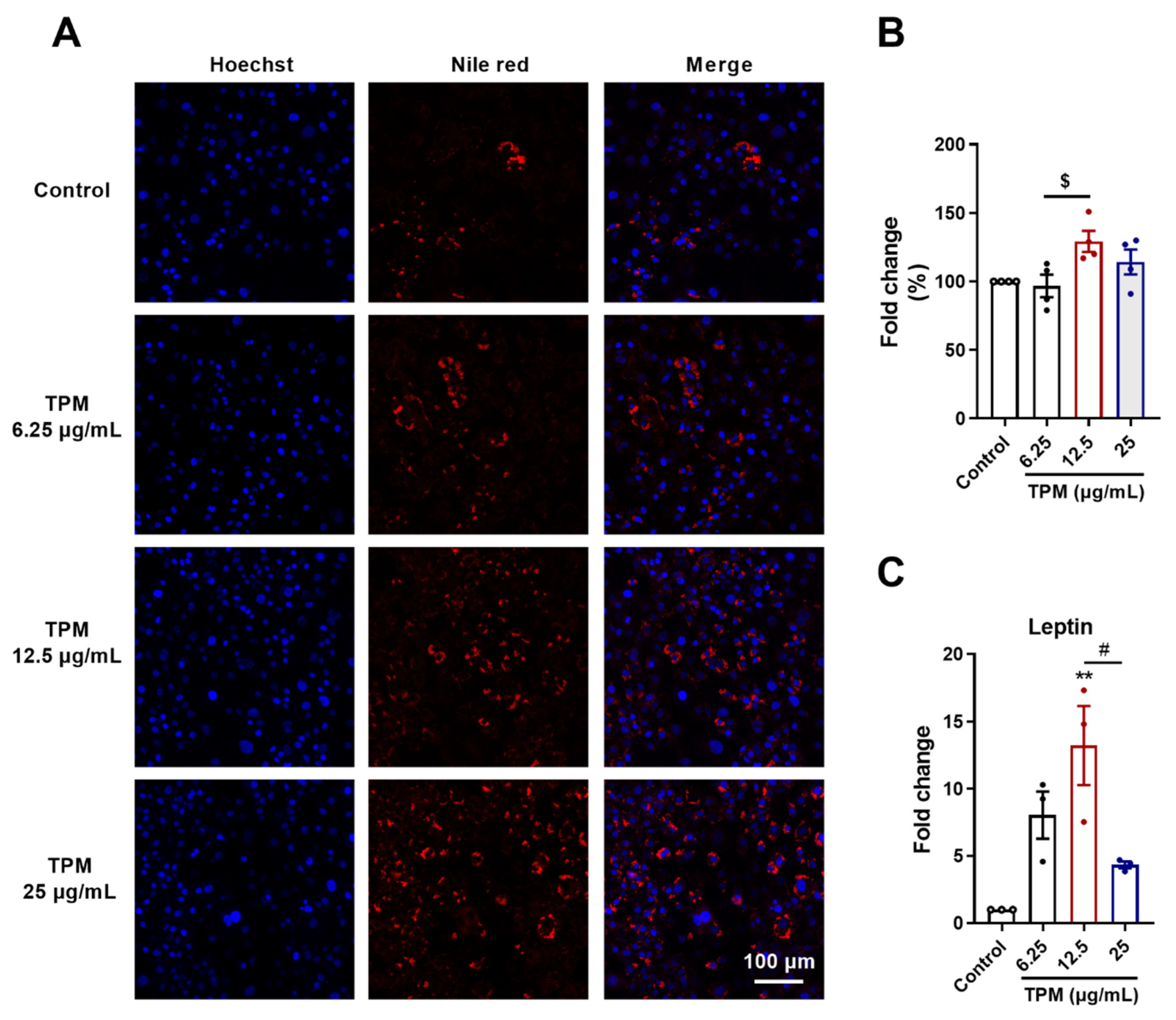 Cells 11 02893 g005 Cells 11 02893 g005