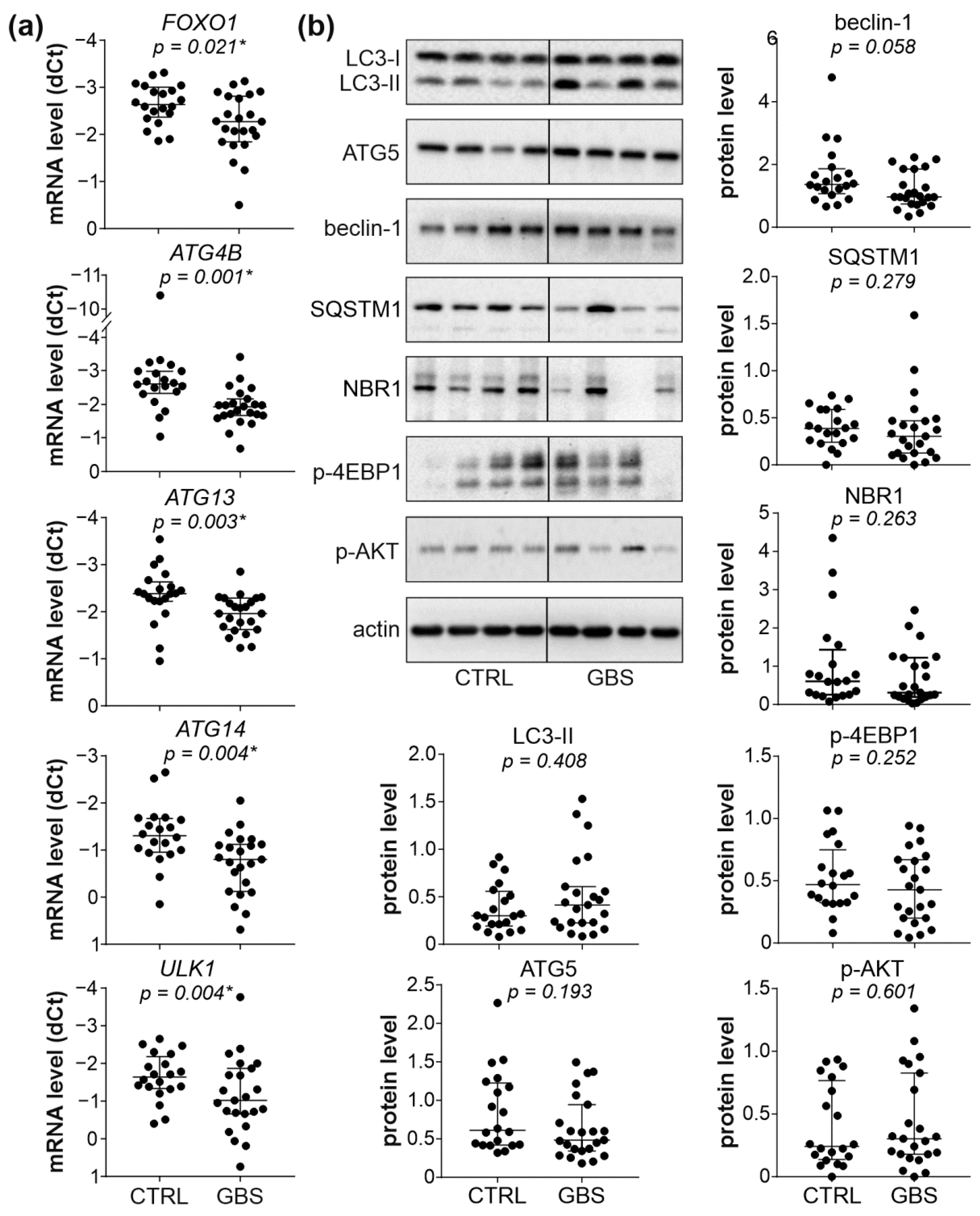 Cells 11 02897 g002 Cells 11 02897 g002