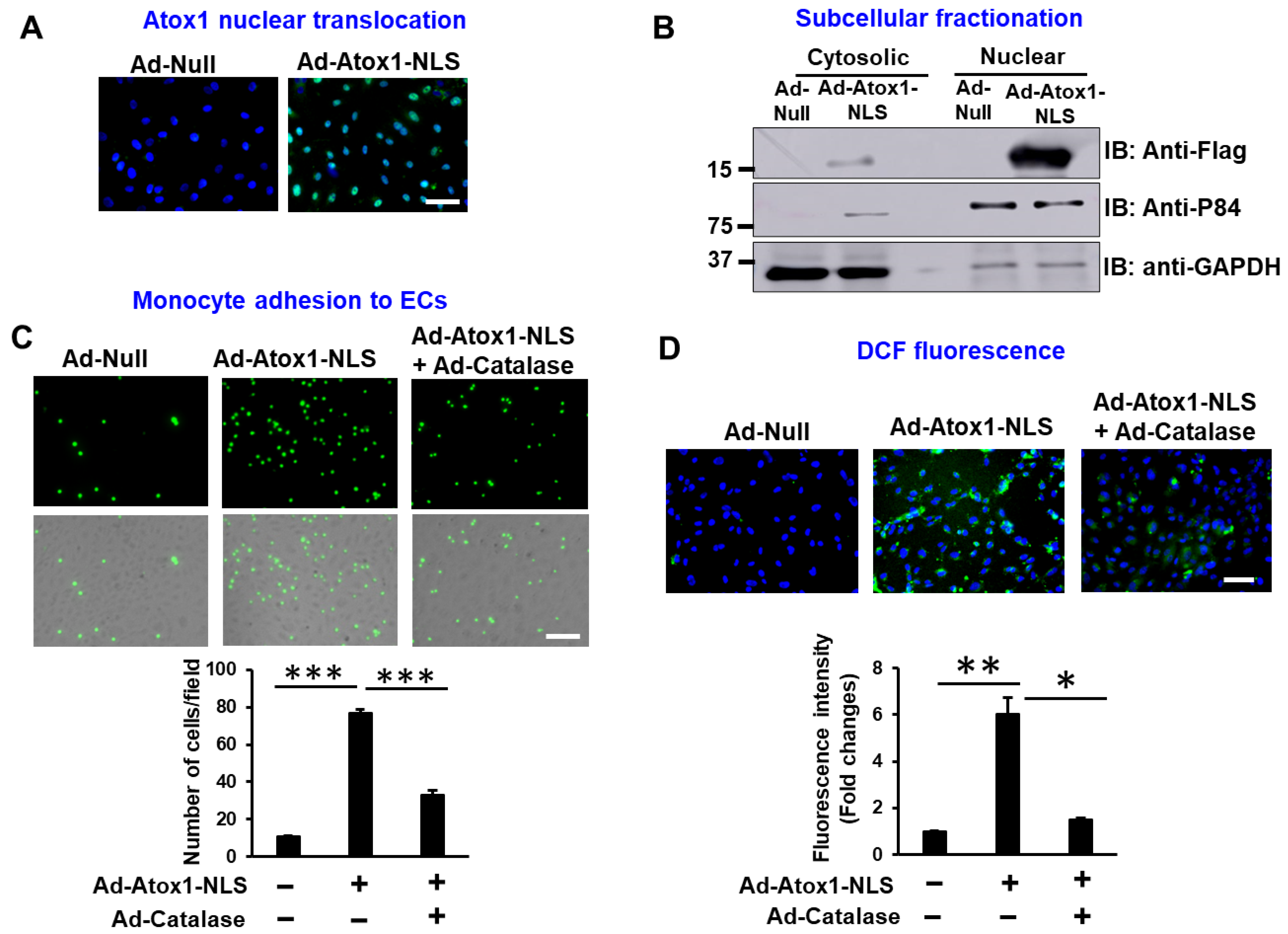 Cells 11 02919 g002 Cells 11 02919 g002