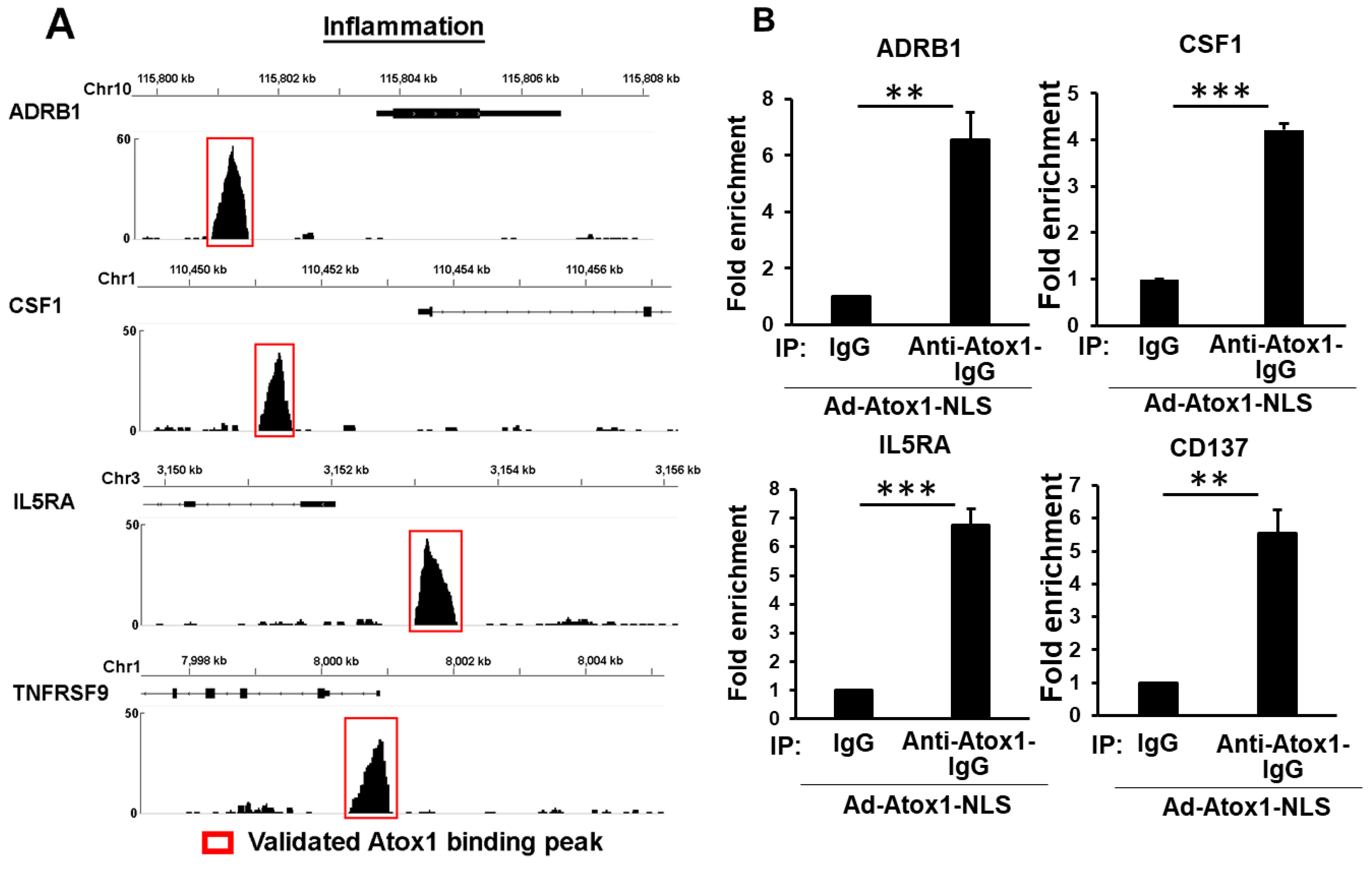 Cells 11 02919 g006 Cells 11 02919 g006