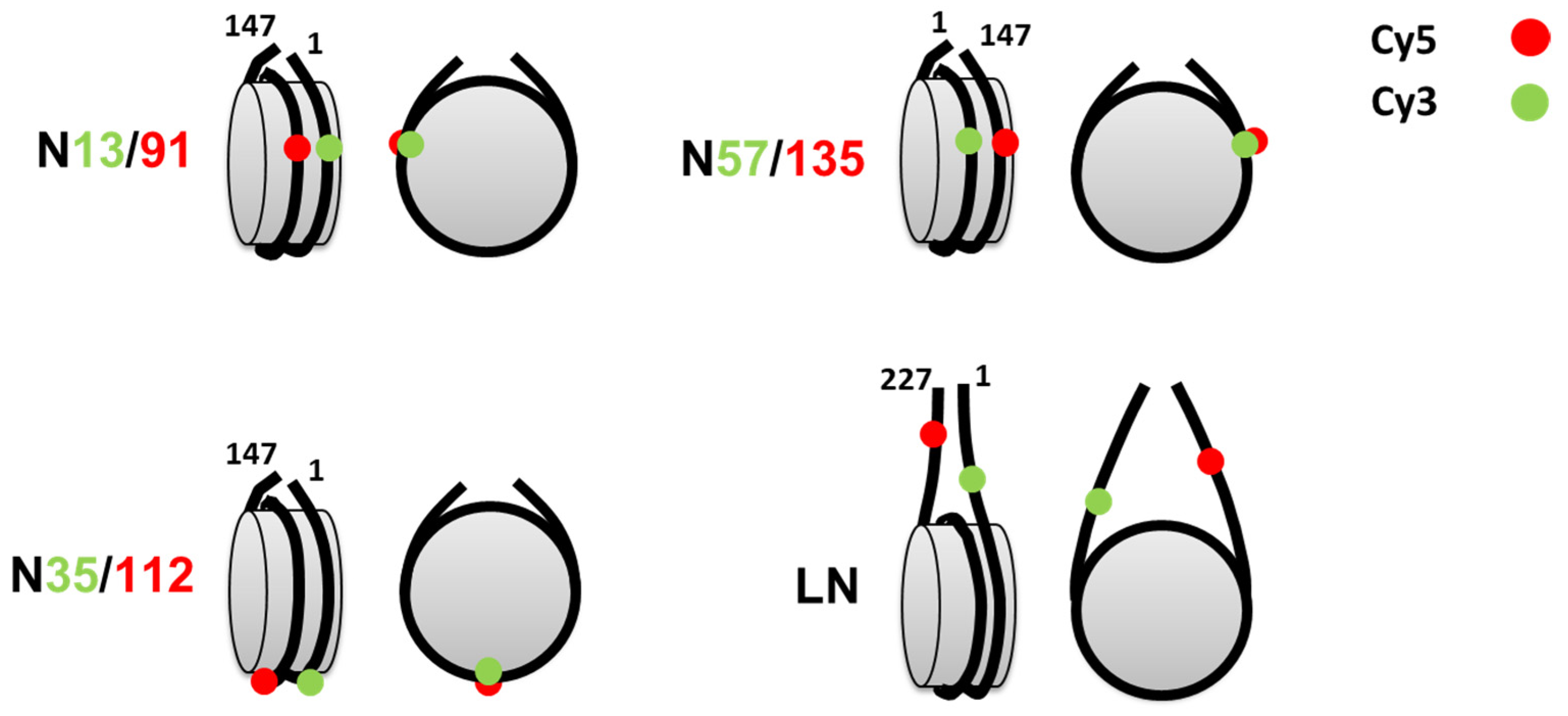 Cells 11 02931 g001 Cells 11 02931 g001