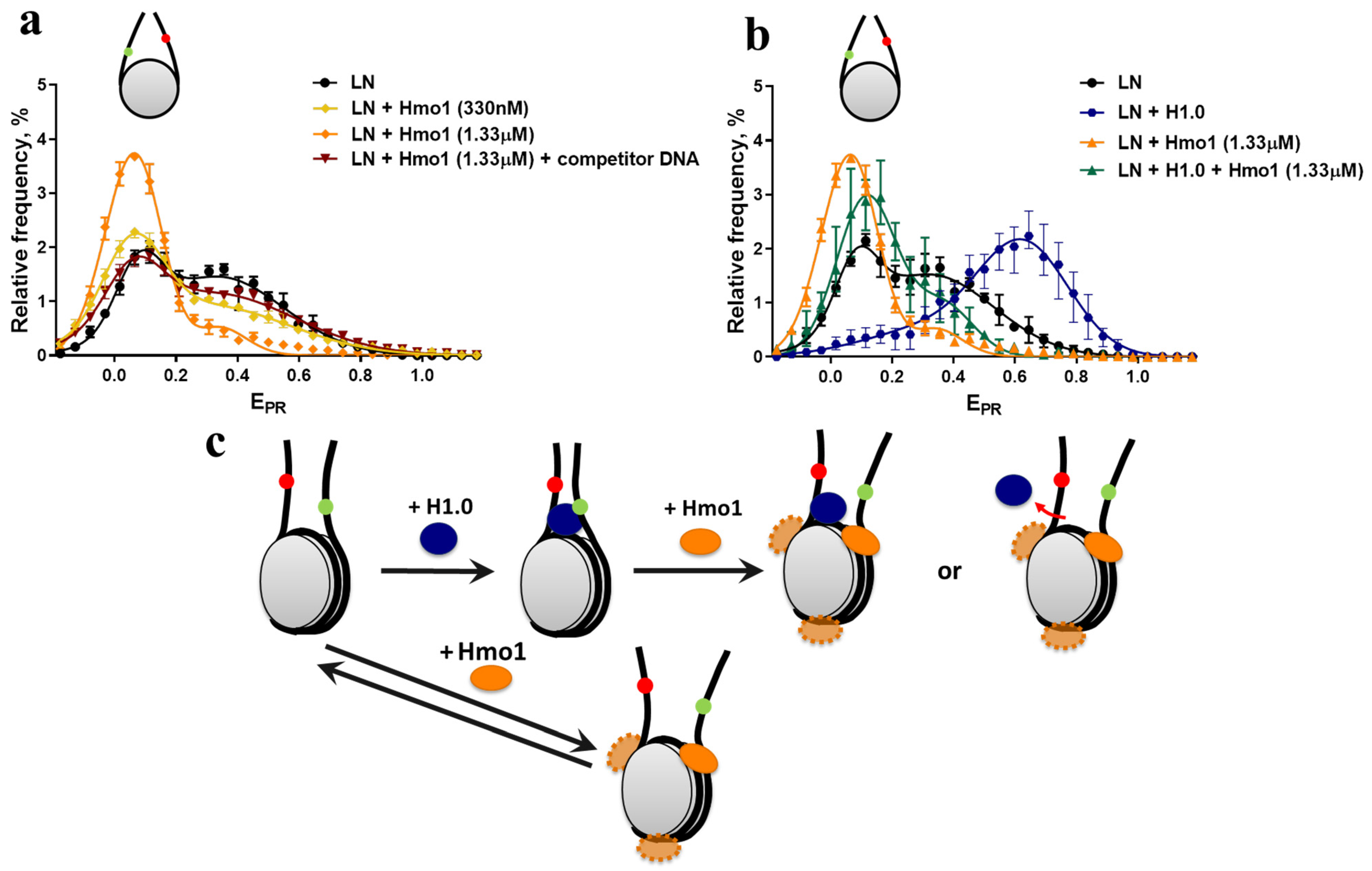 Cells 11 02931 g003 Cells 11 02931 g003