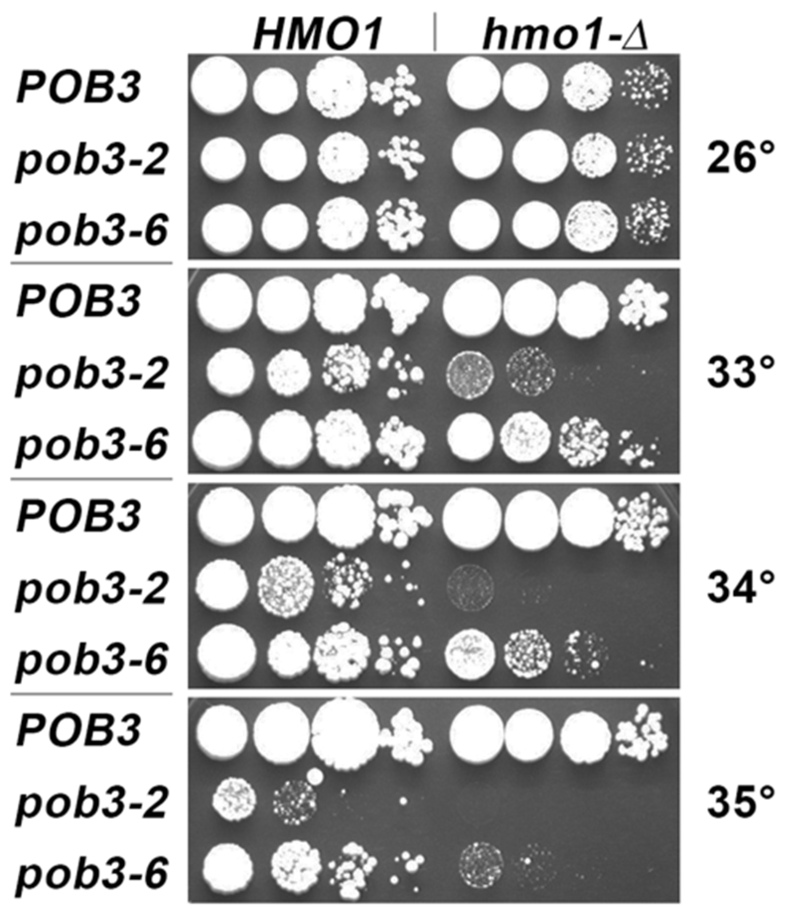 Cells 11 02931 g006 Cells 11 02931 g006