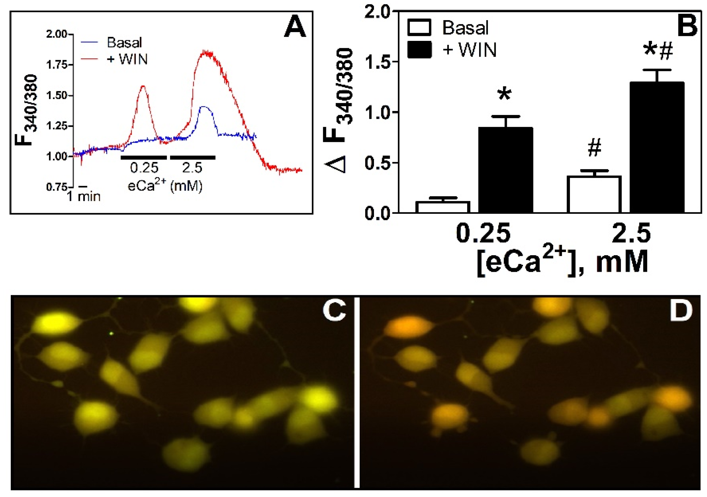 Cells 11 02947 g001 Cells 11 02947 g001