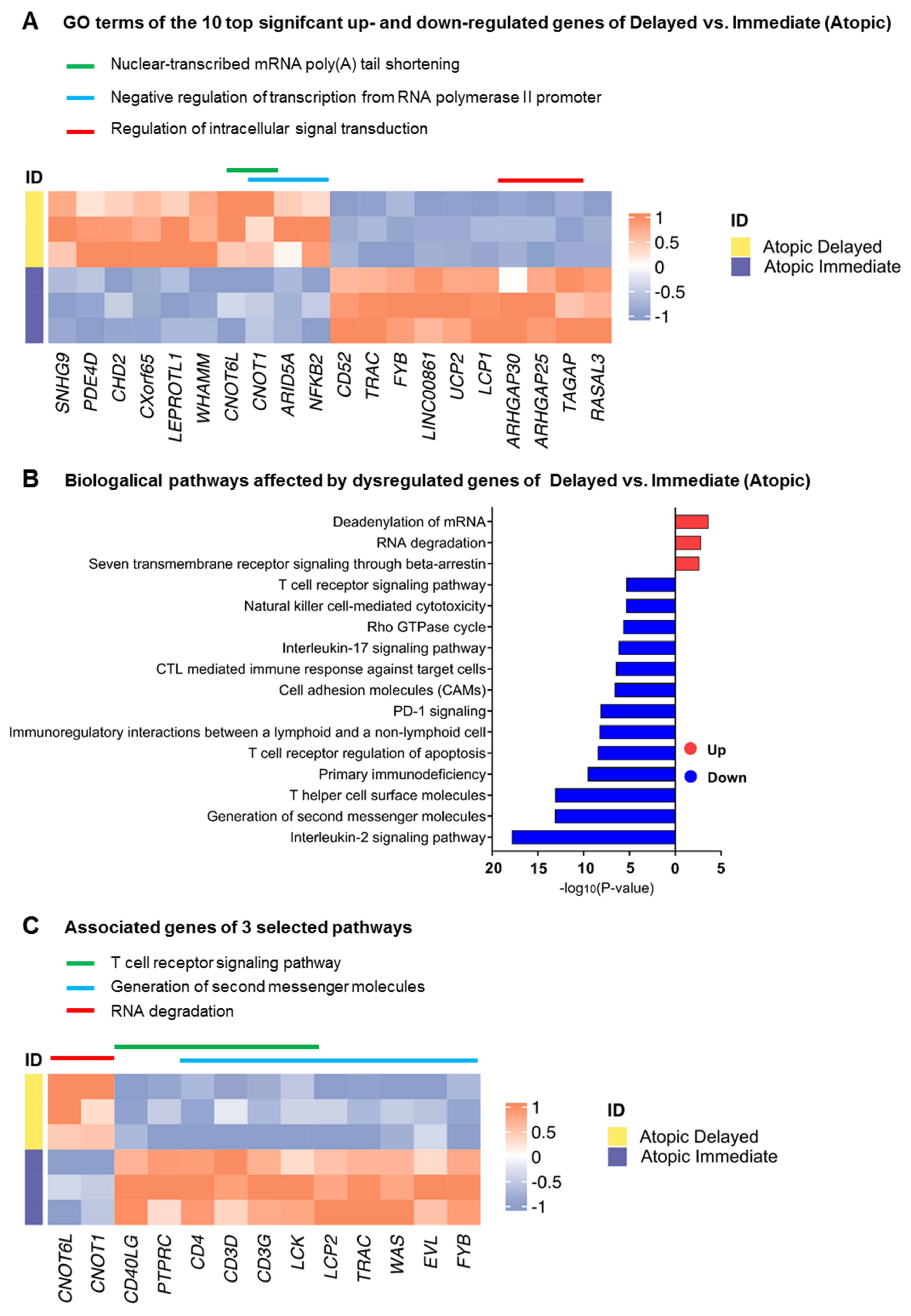 Cells 11 02958 g003 Cells 11 02958 g003
