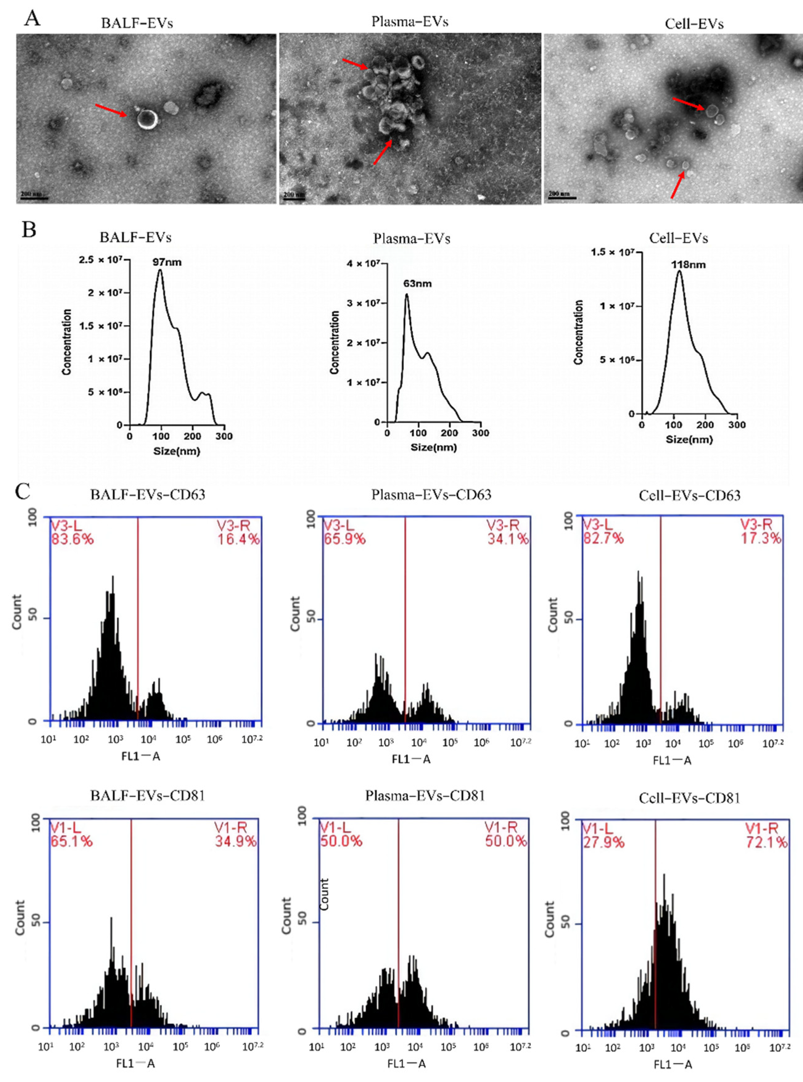Cells 11 02961 g001 Cells 11 02961 g001