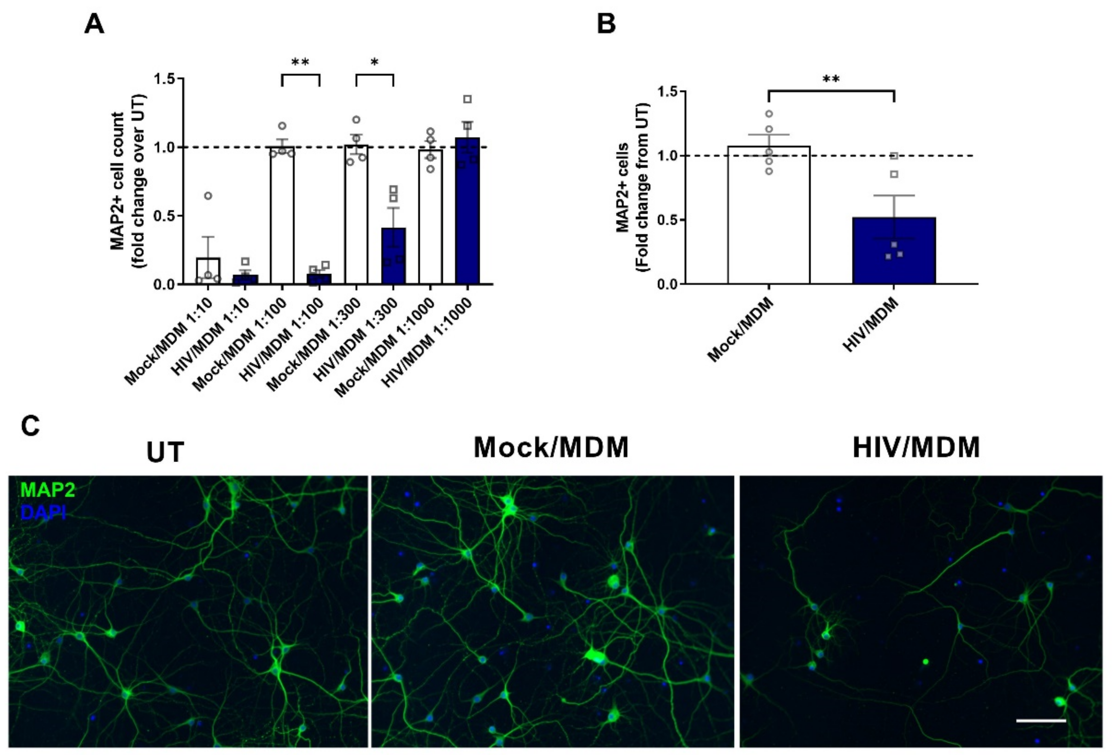 Cells 11 02962 g001 Cells 11 02962 g001