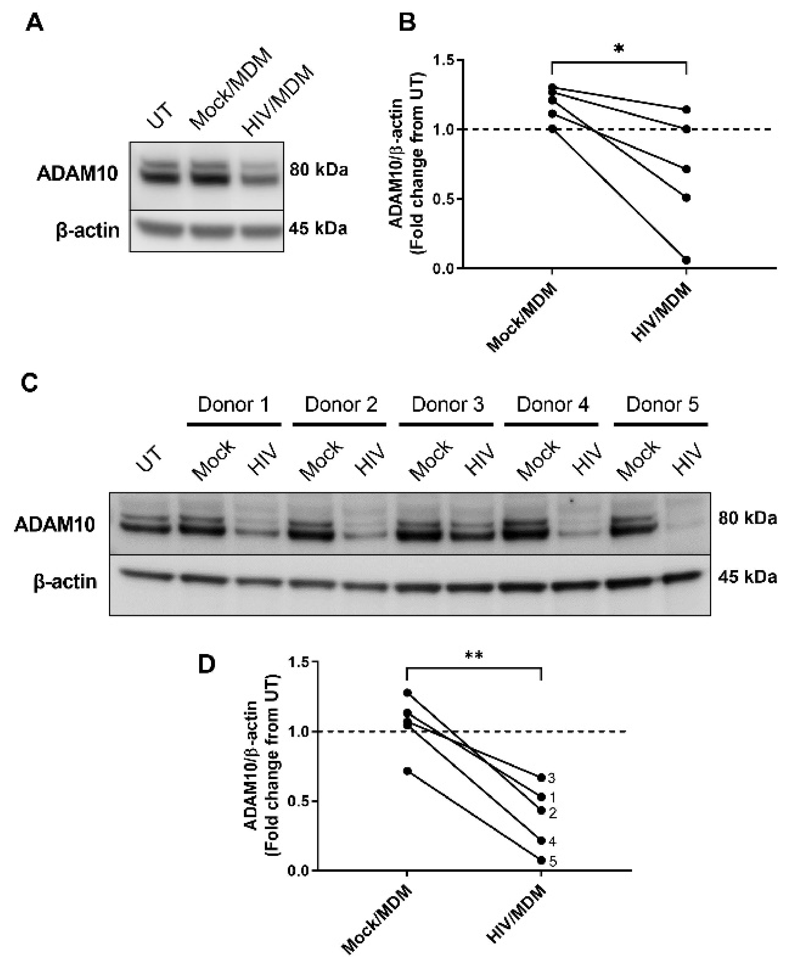 Cells 11 02962 g002 Cells 11 02962 g002