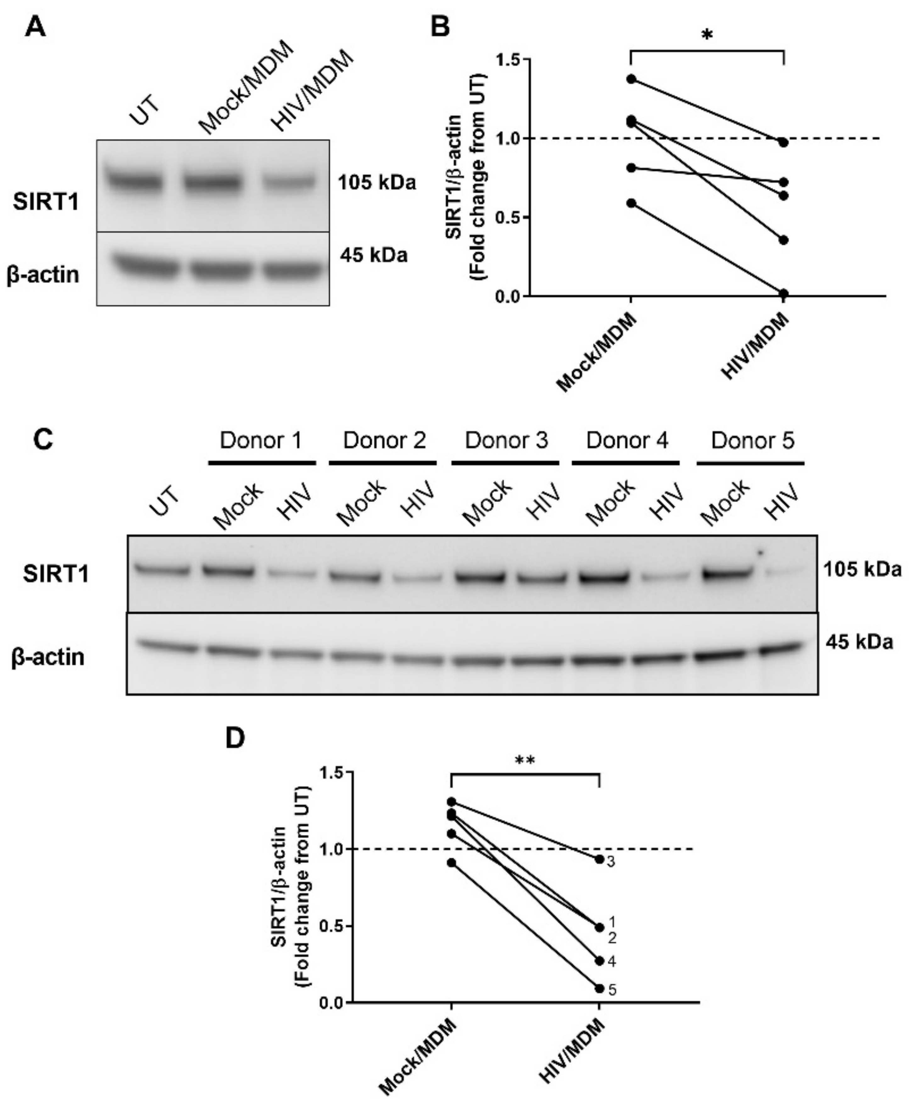 Cells 11 02962 g004 Cells 11 02962 g004