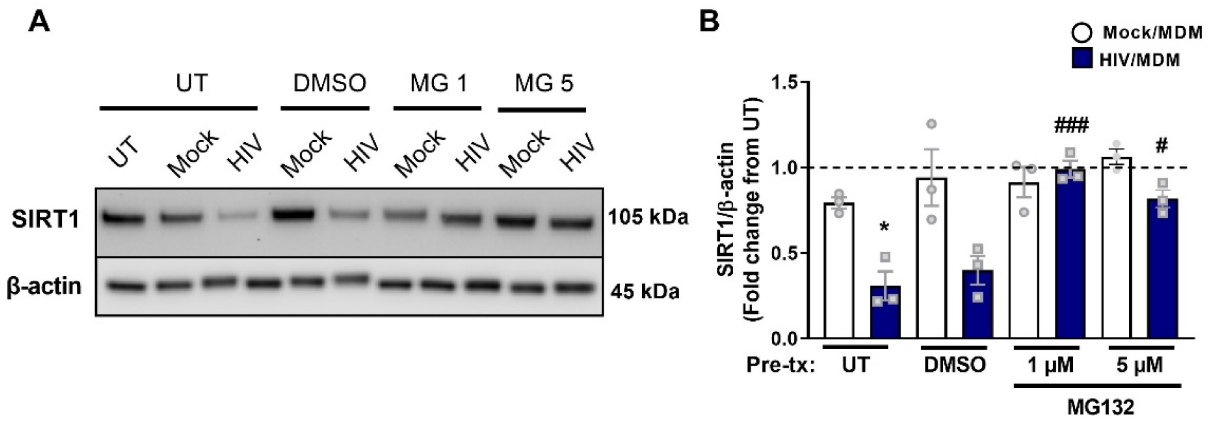 Cells 11 02962 g008 Cells 11 02962 g008