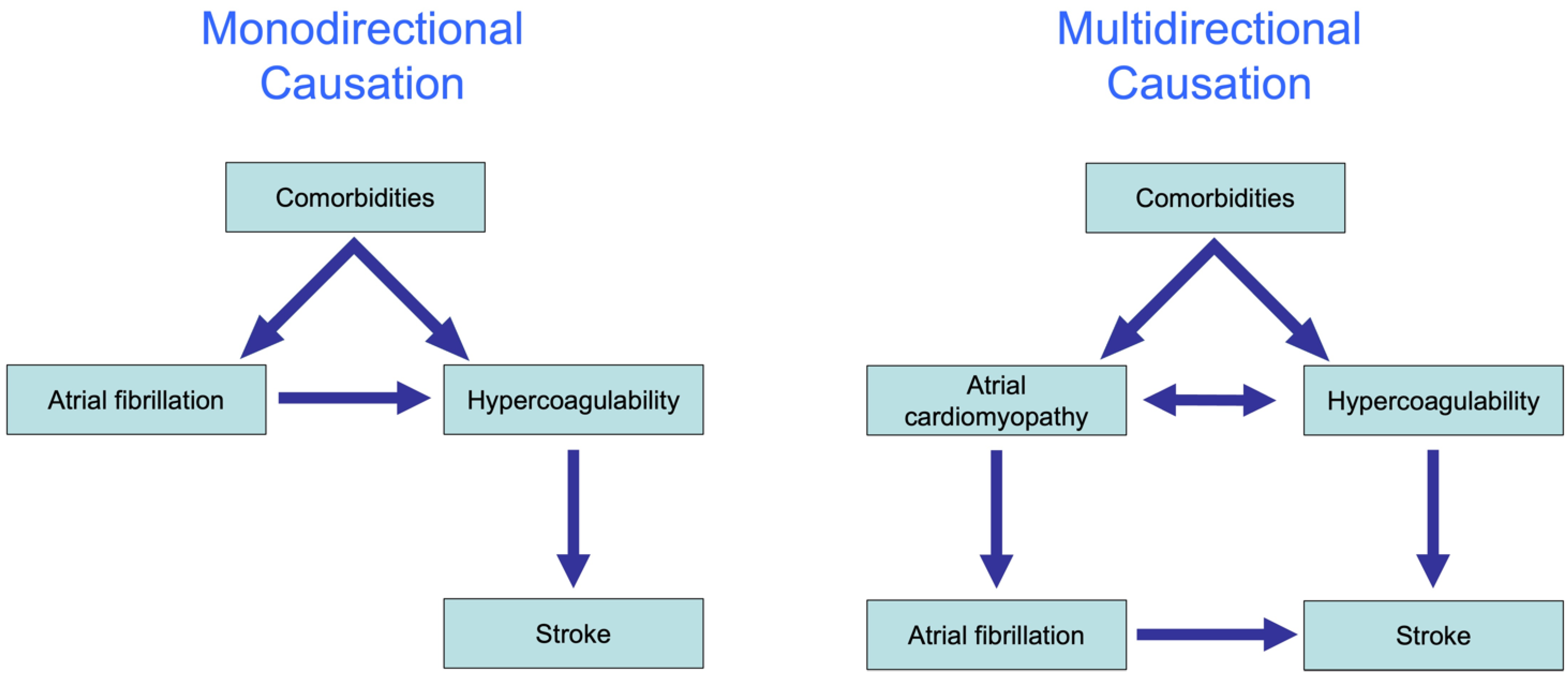 Cells 11 02963 g004 Cells 11 02963 g004