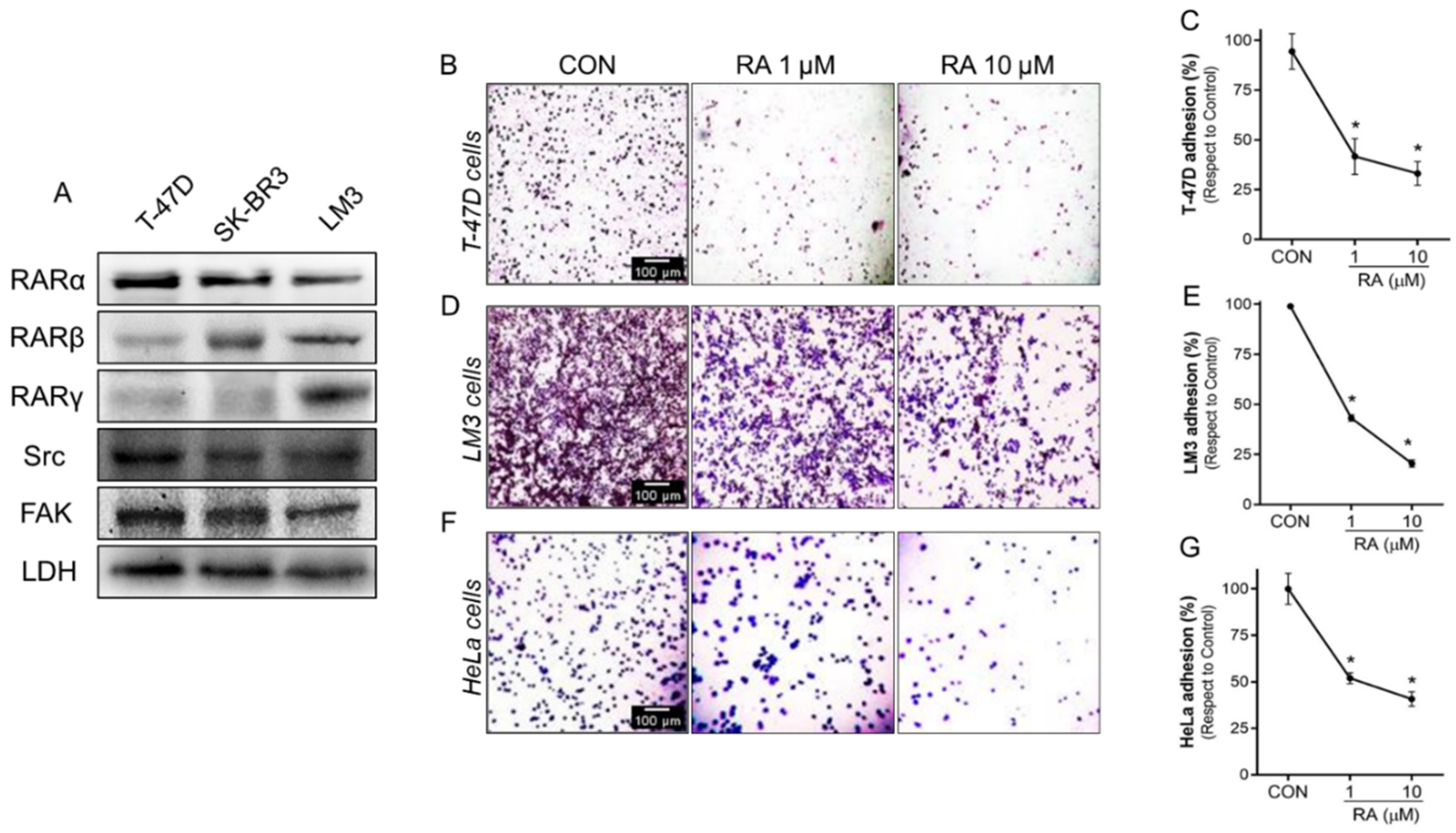 Cells 11 02988 g002a