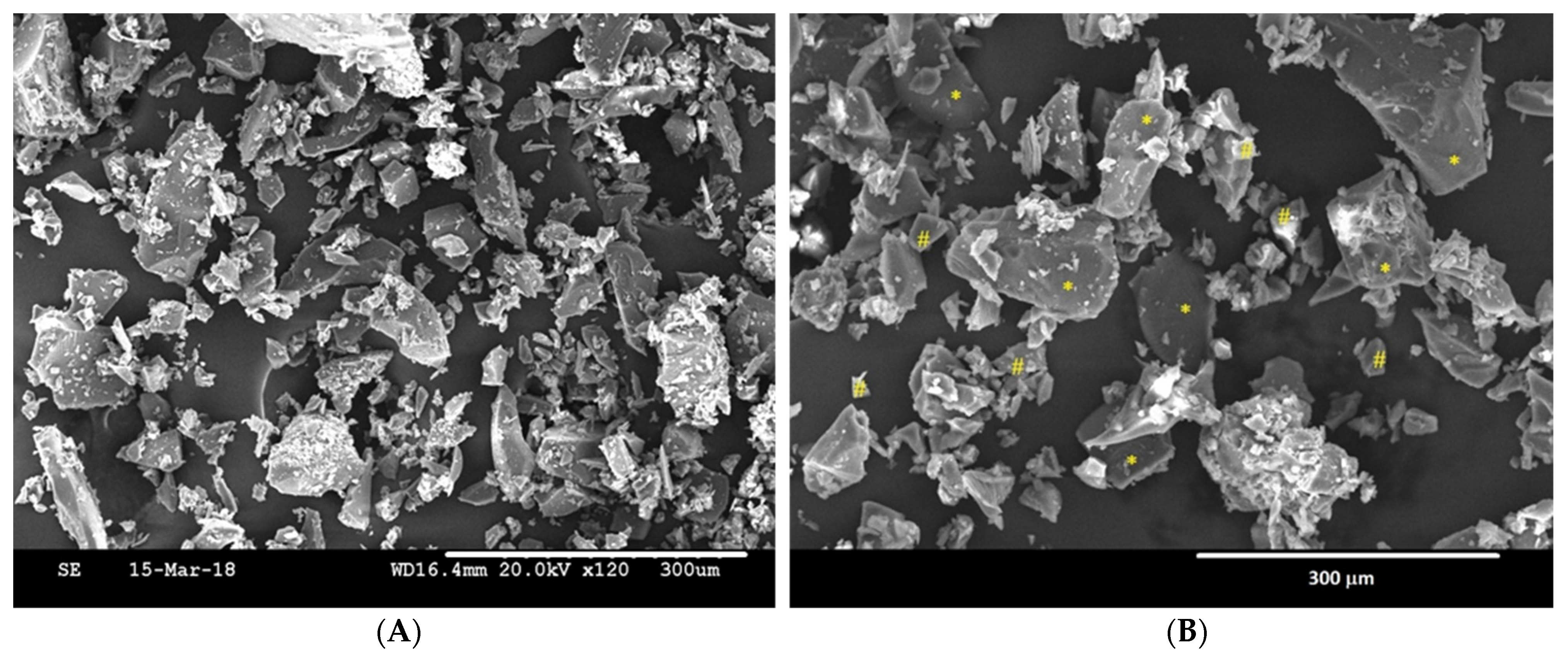 Cells 11 02993 g003 Cells 11 02993 g003