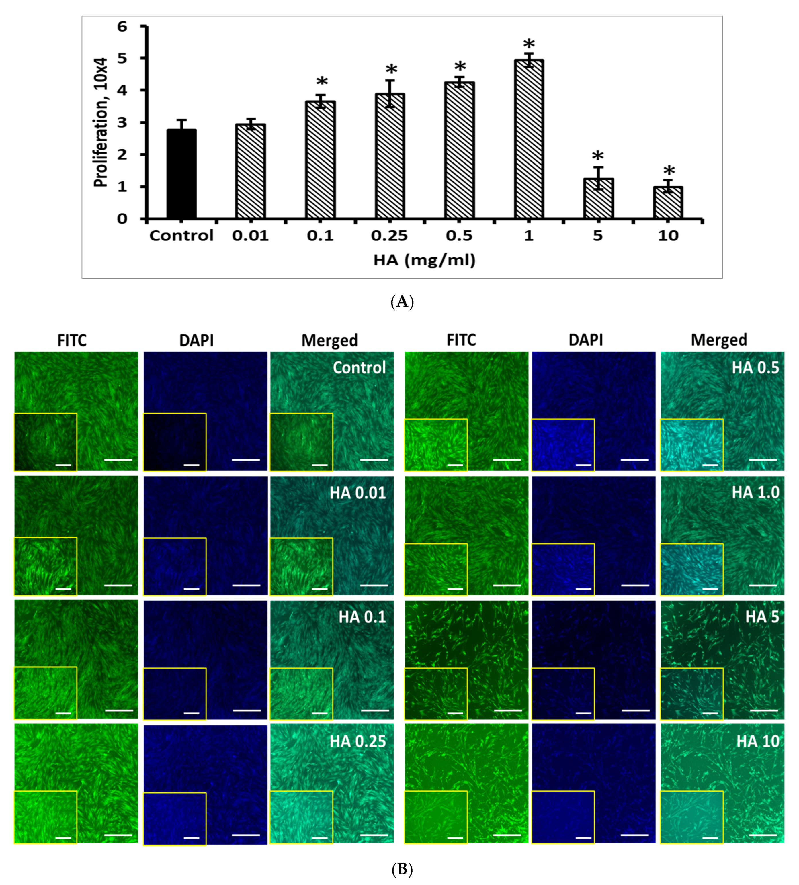 Cells 11 02993 g010 Cells 11 02993 g010