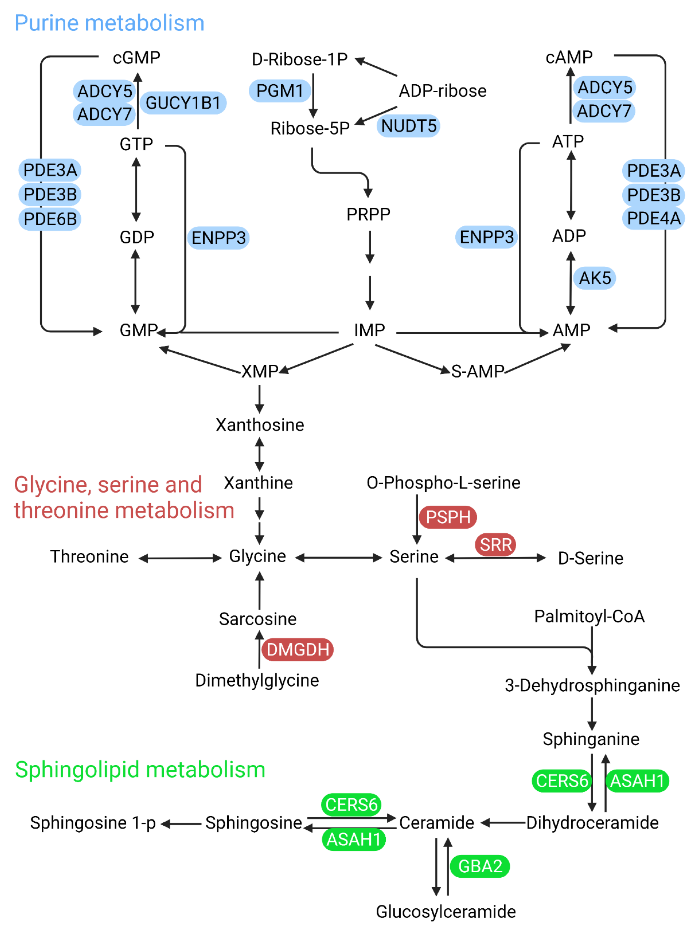 Cells 11 03005 g003 Cells 11 03005 g003