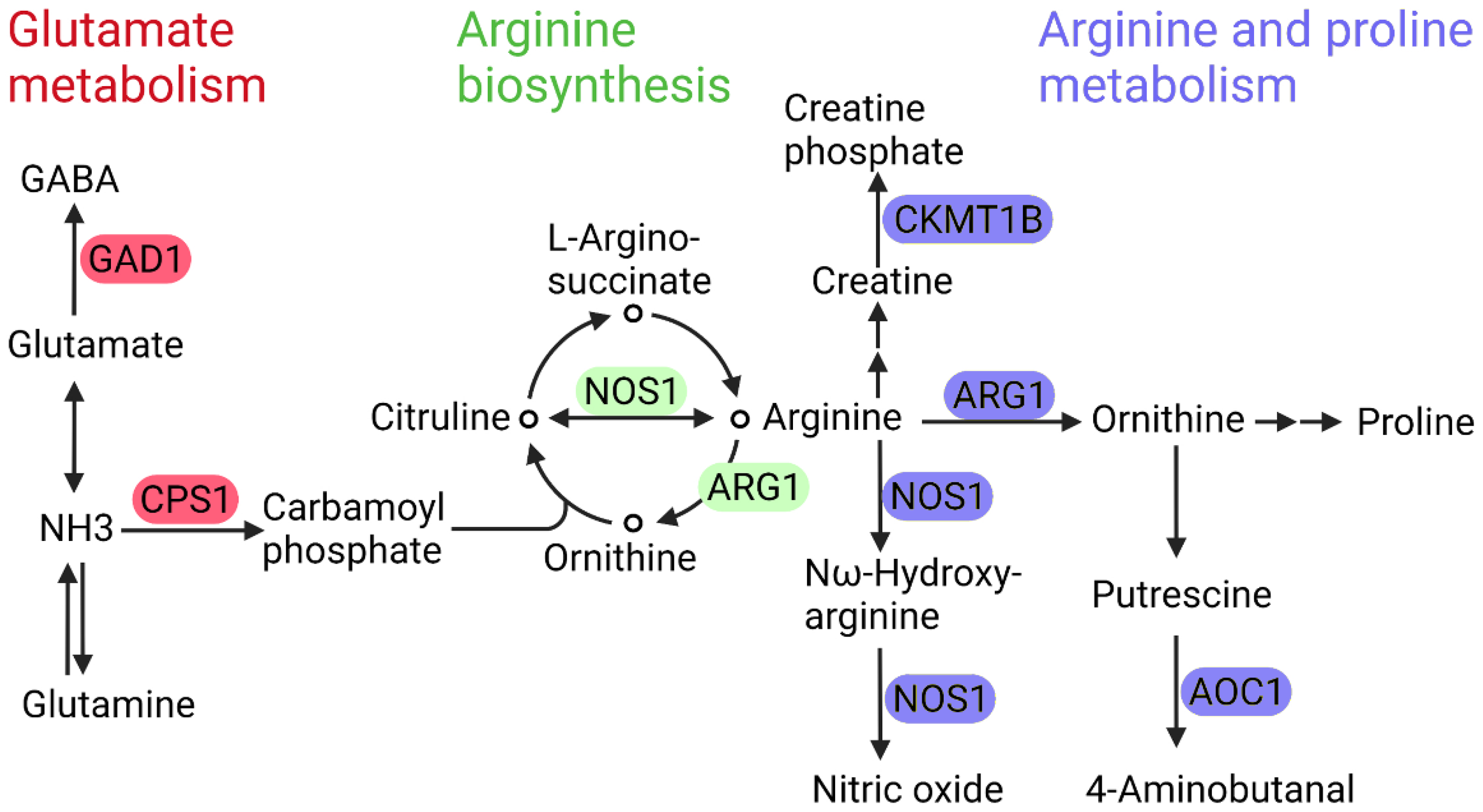 Cells 11 03005 g004 Cells 11 03005 g004