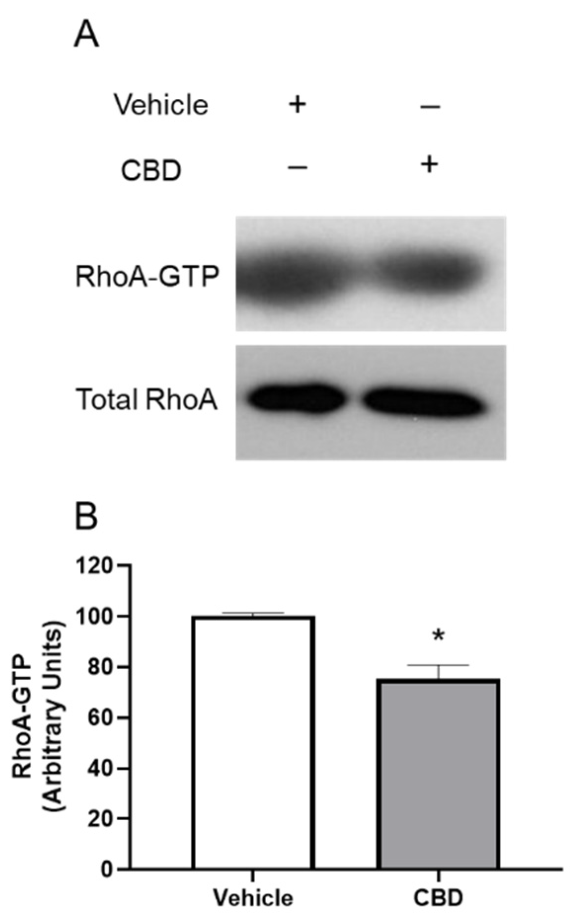 Cells 11 03006 g005 Cells 11 03006 g005