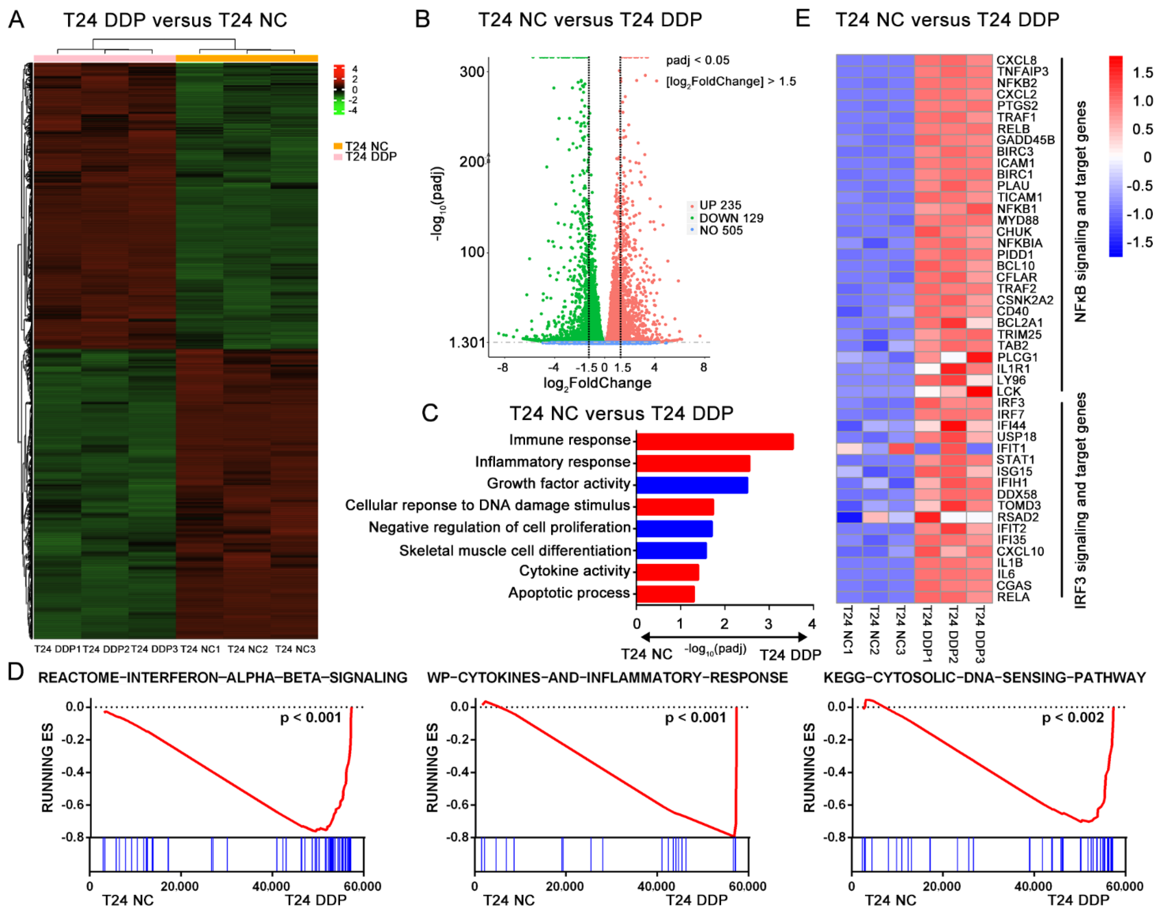 Cells | Free Full-Text | Activation of cGAS-STING Signal to