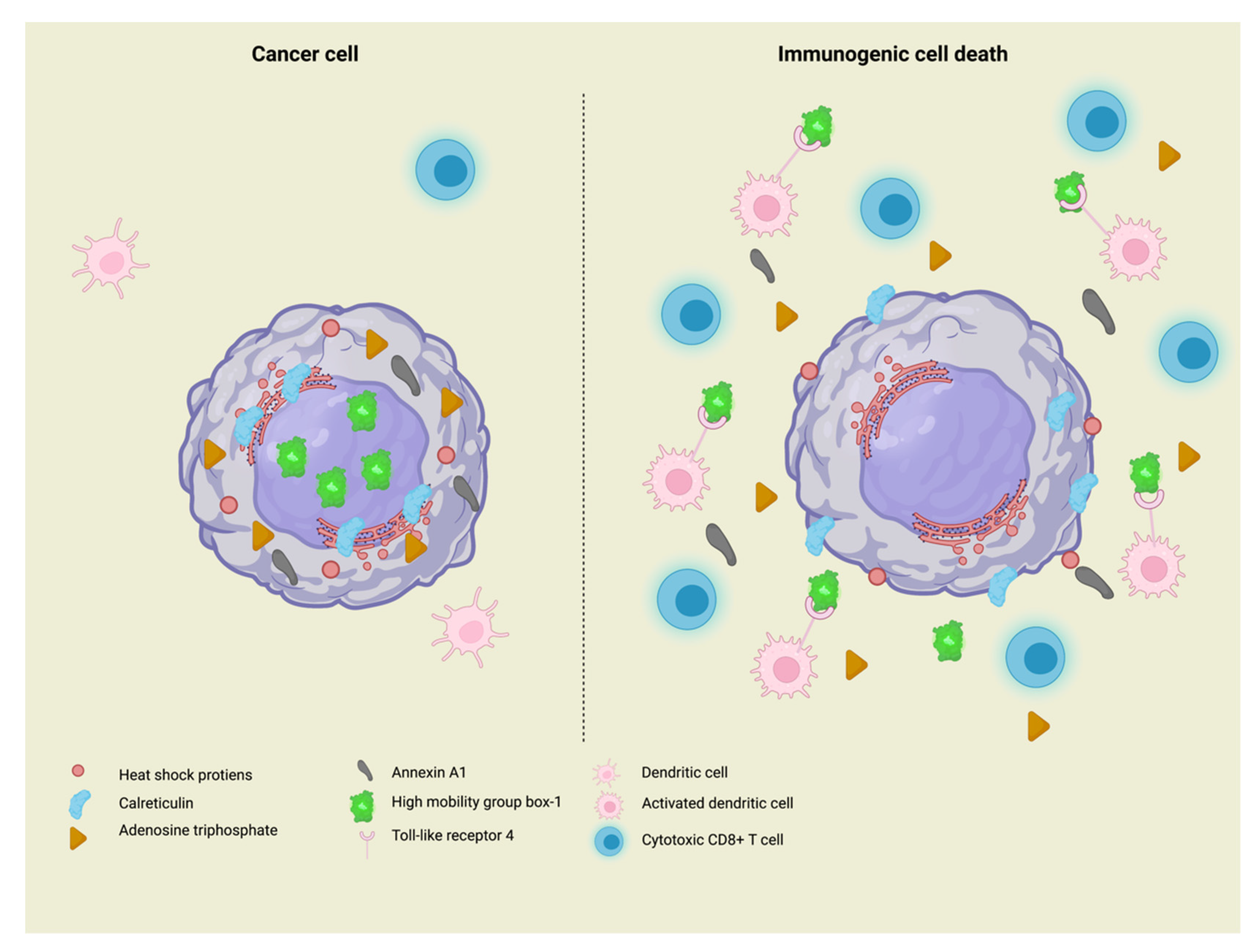 Cells 11 03033 g002 Cells 11 03033 g002