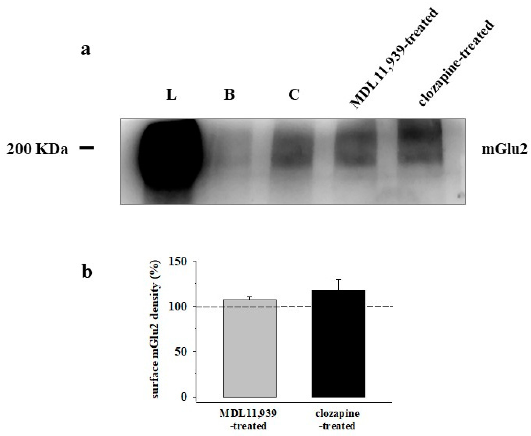 Cells 11 03035 g005 Cells 11 03035 g005