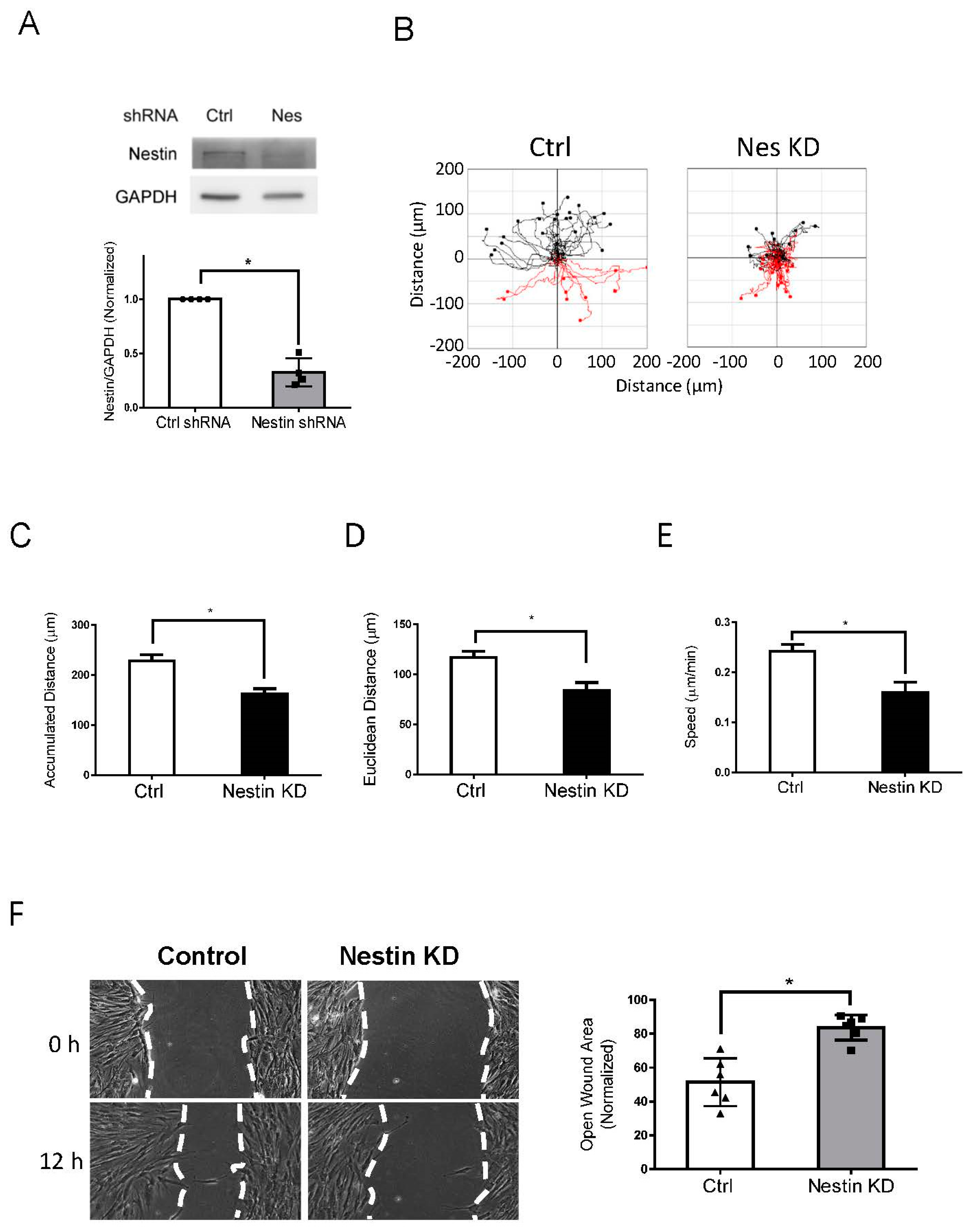 Cells 11 03047 g001 Cells 11 03047 g001