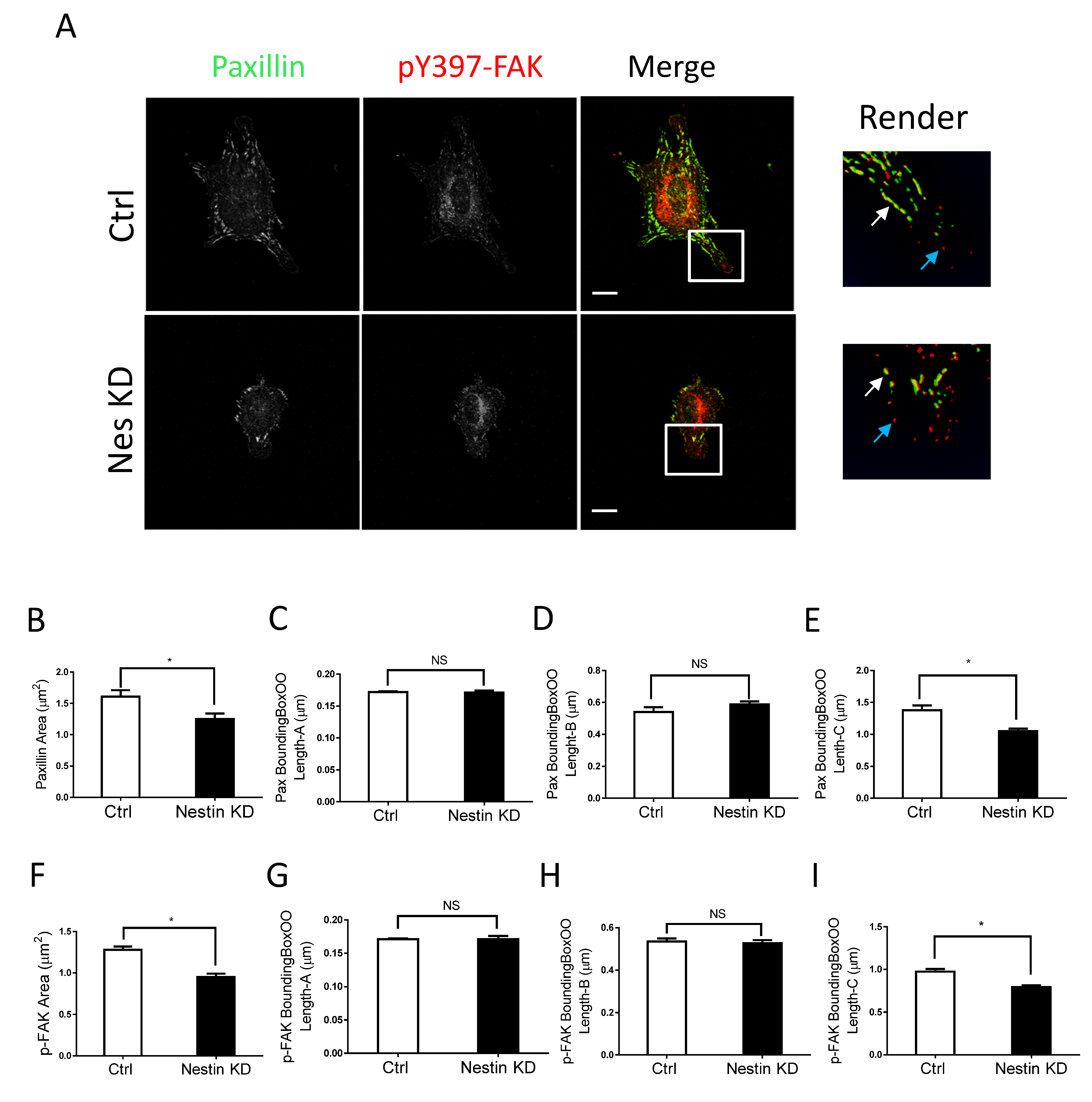 Cells 11 03047 g002 Cells 11 03047 g002