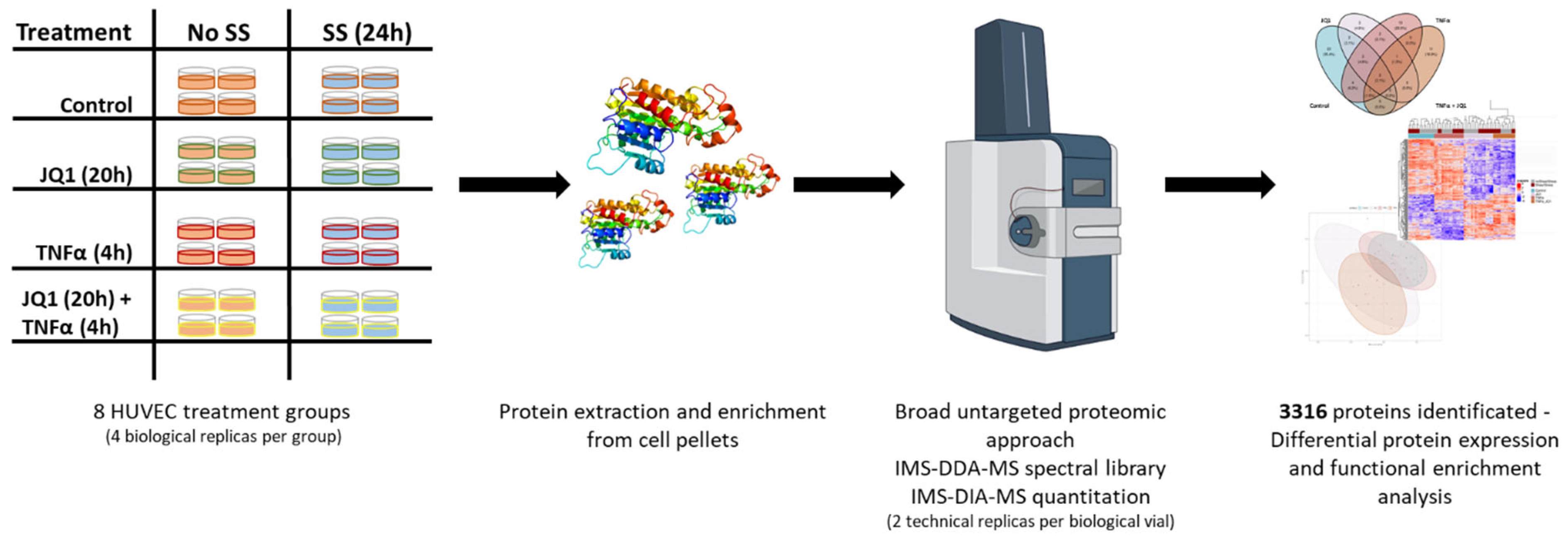 Cells 11 03086 g001 Cells 11 03086 g001