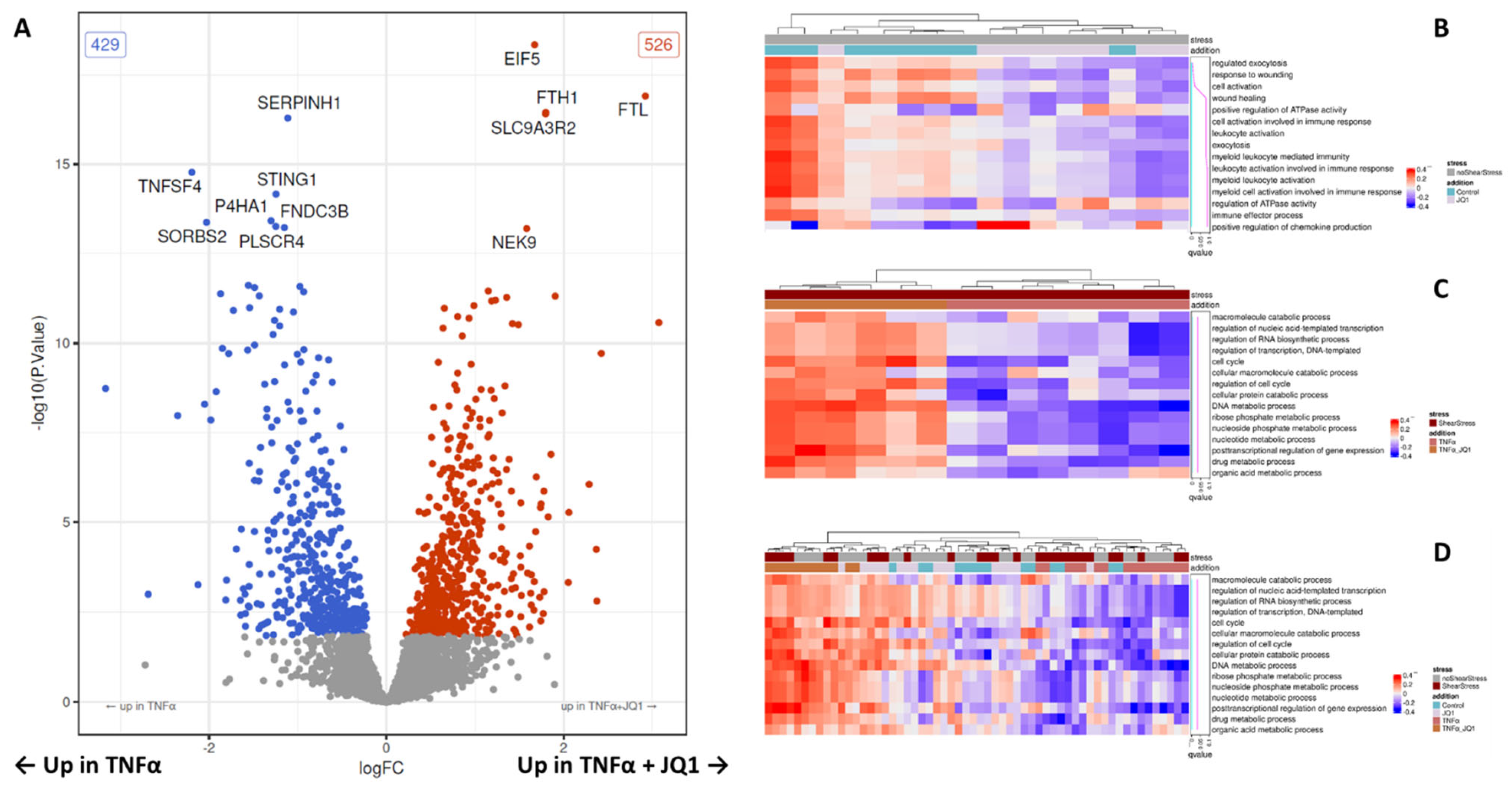 Cells 11 03086 g005 Cells 11 03086 g005