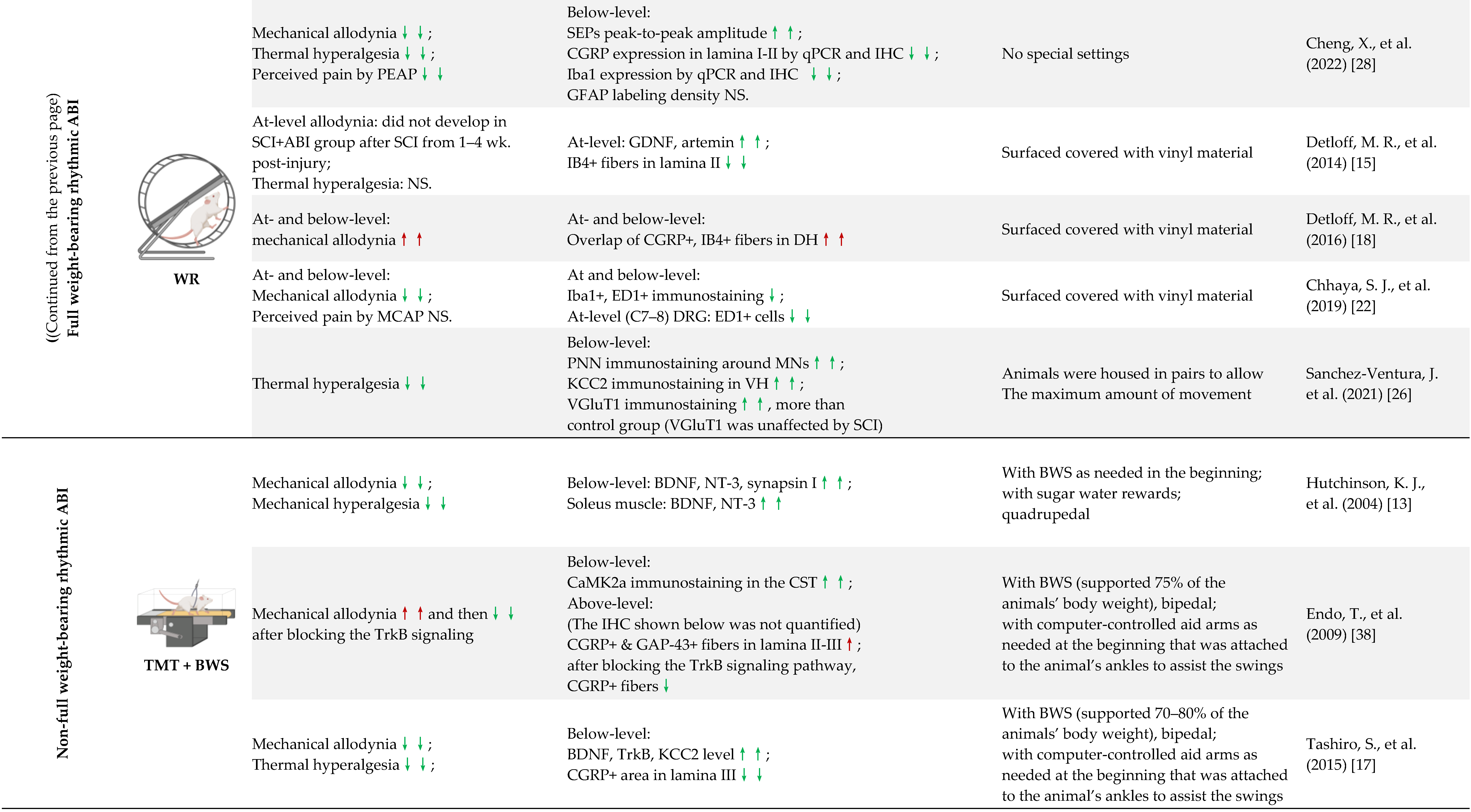 Cells 11 03087 i003b