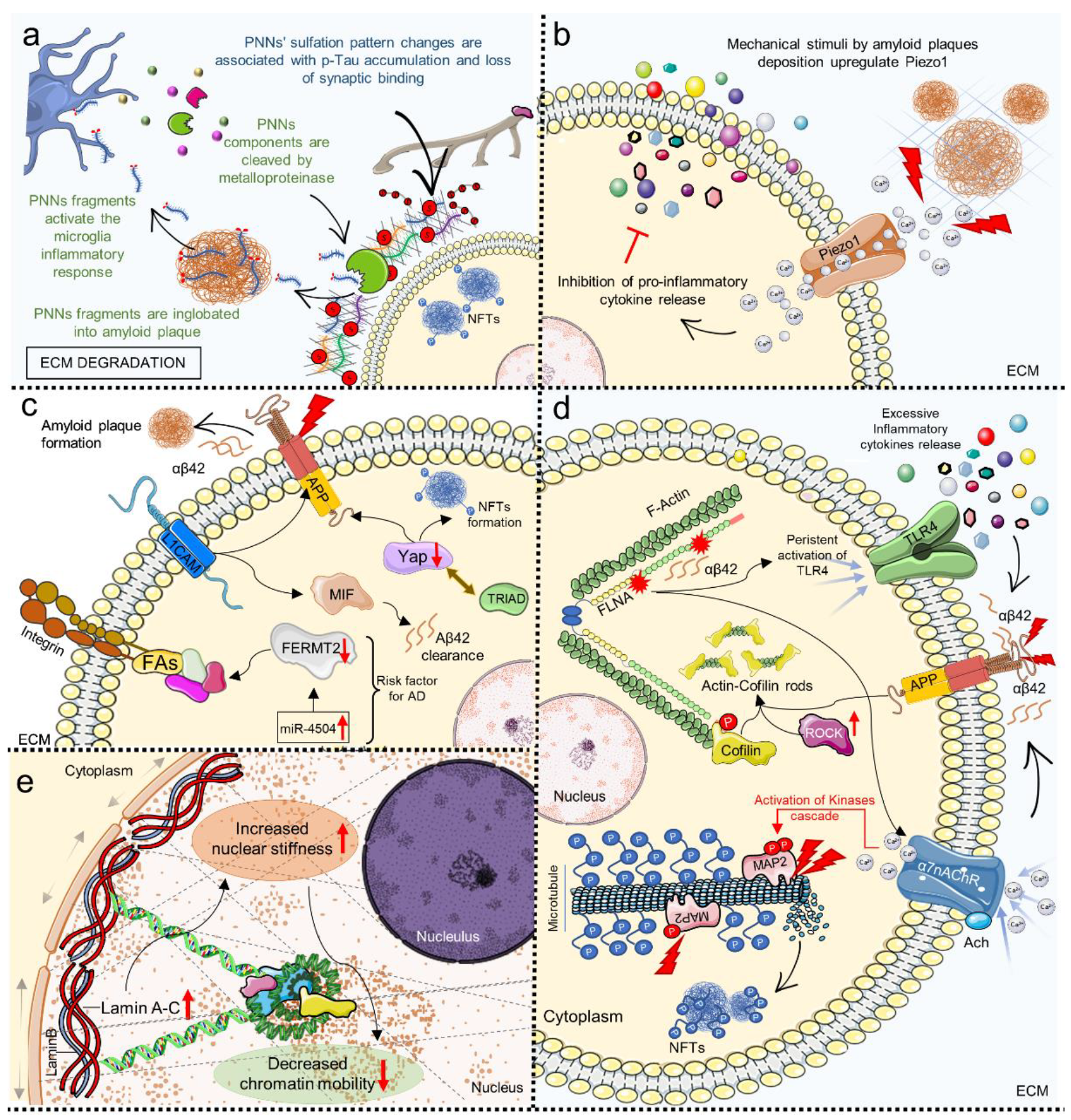 Cells 11 03093 g003 Cells 11 03093 g003