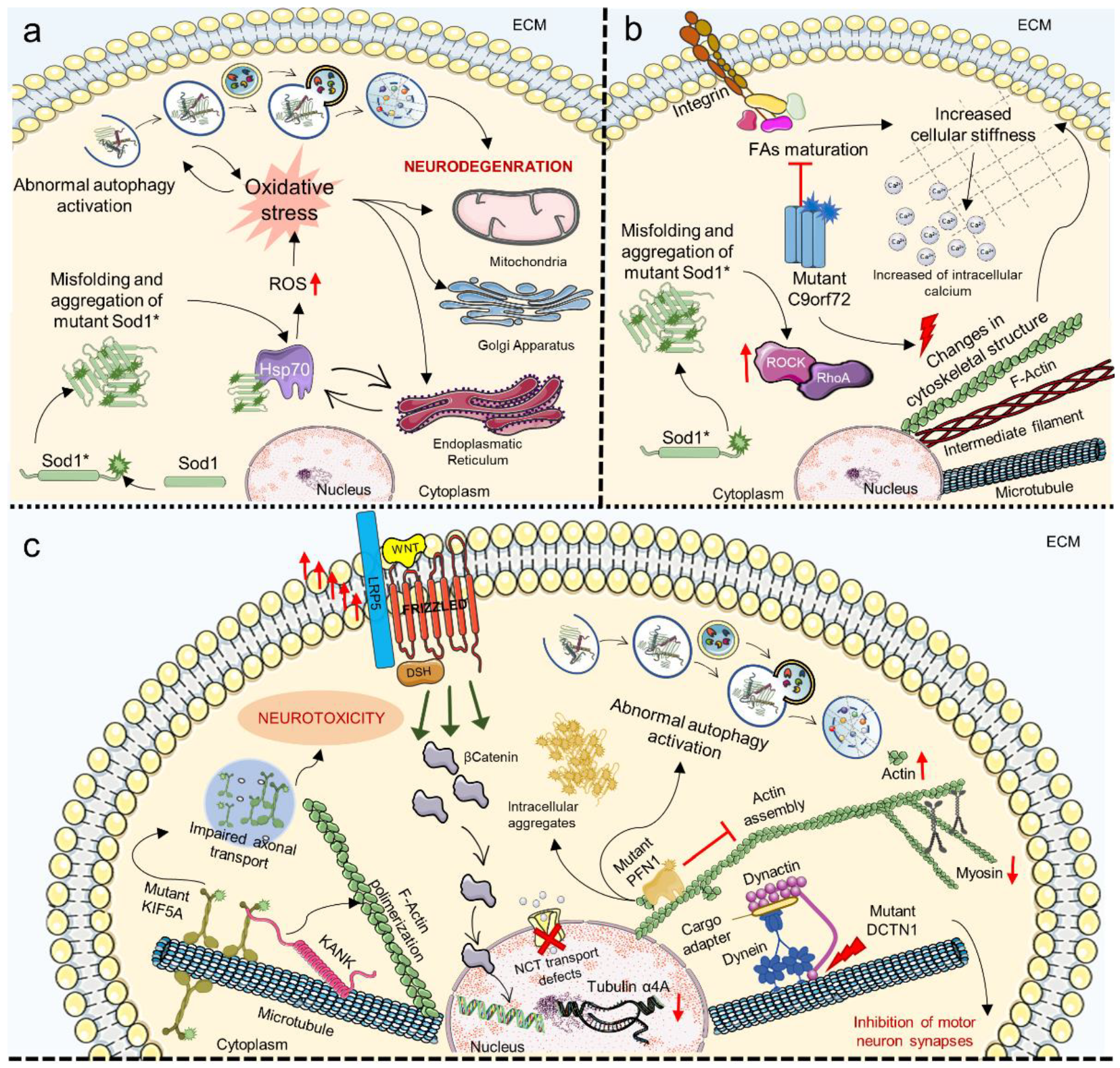 Cells 11 03093 g005 Cells 11 03093 g005