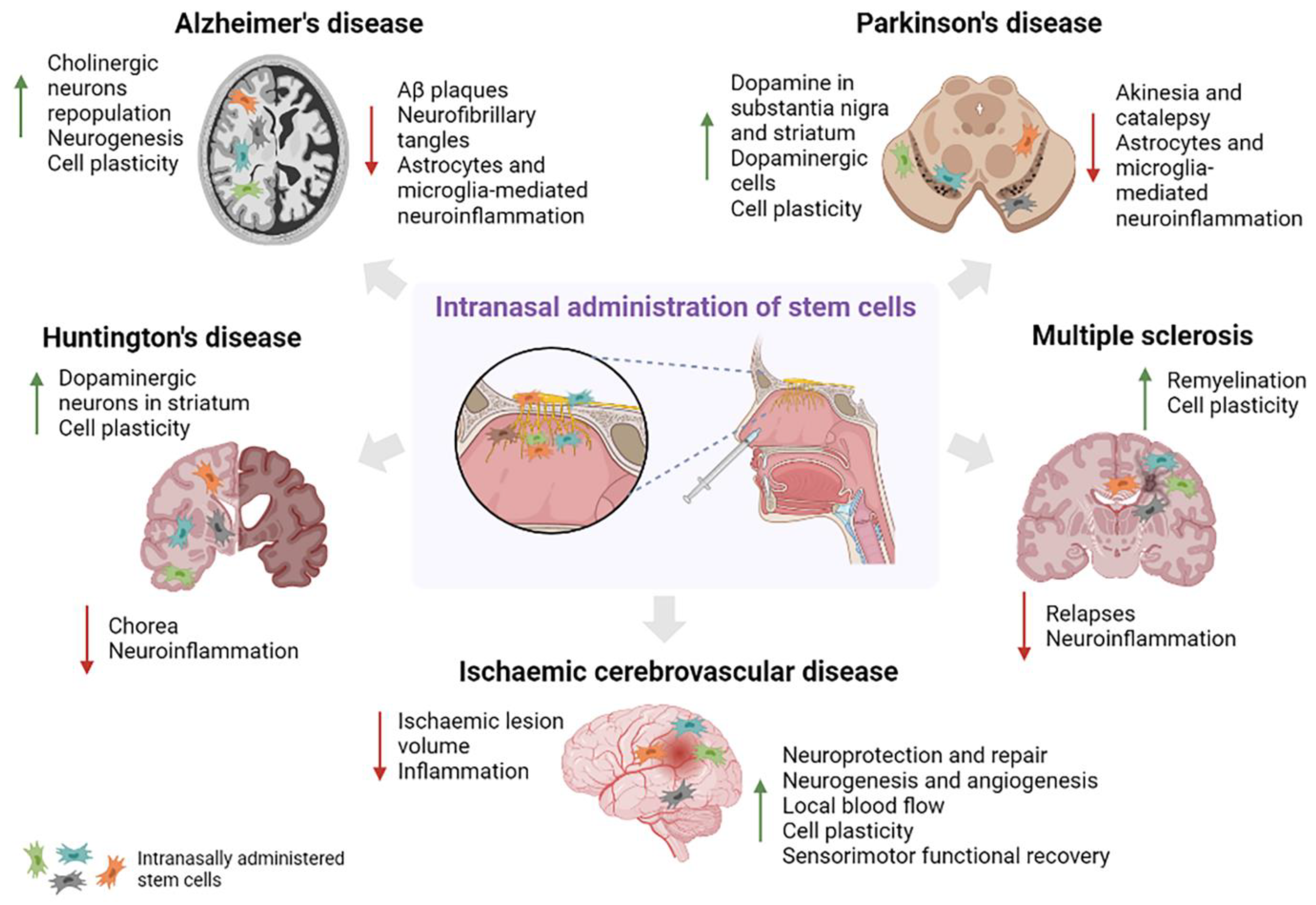 Cells 11 03095 g001 Cells 11 03095 g001