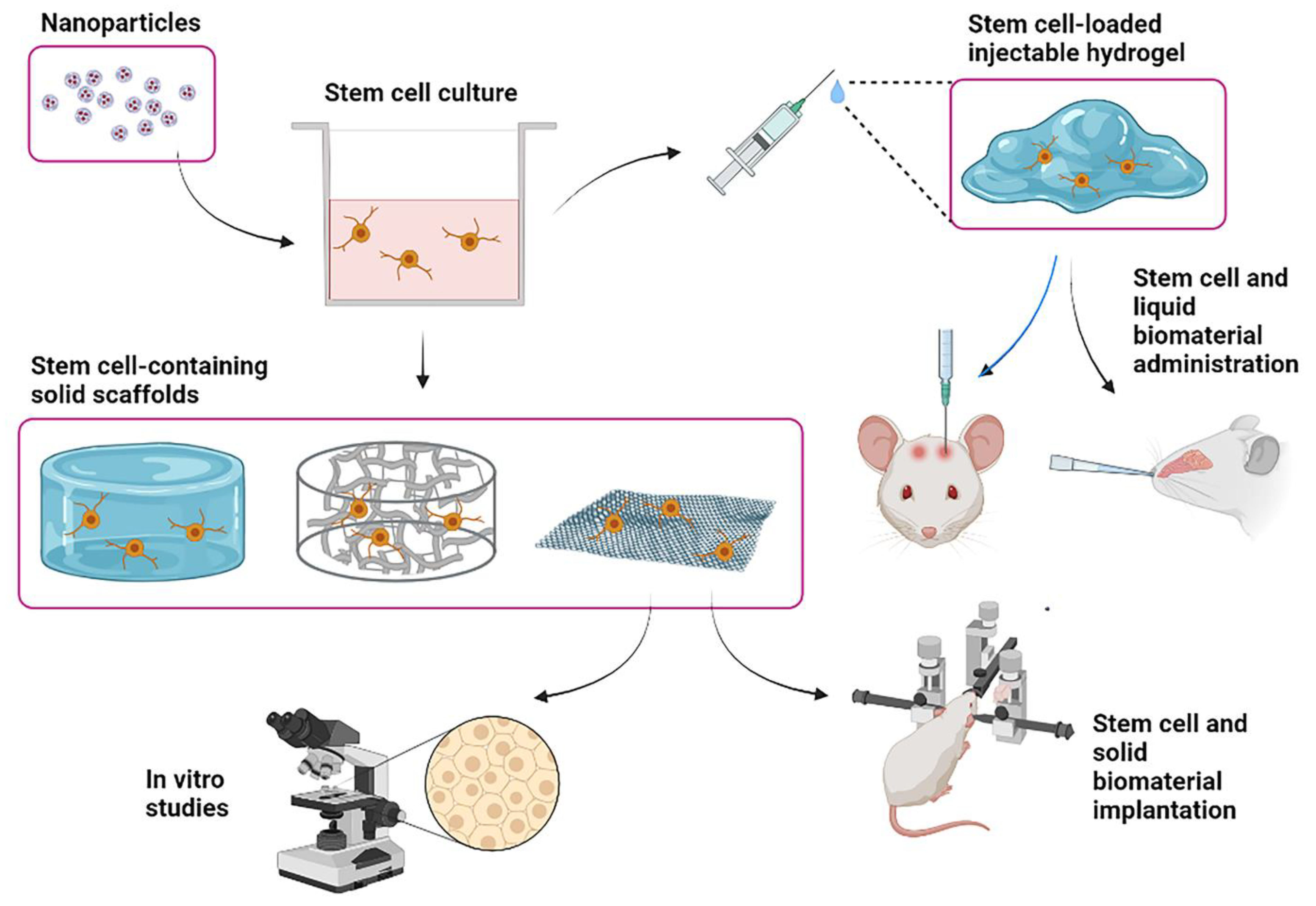 Cells 11 03095 g003 Cells 11 03095 g003
