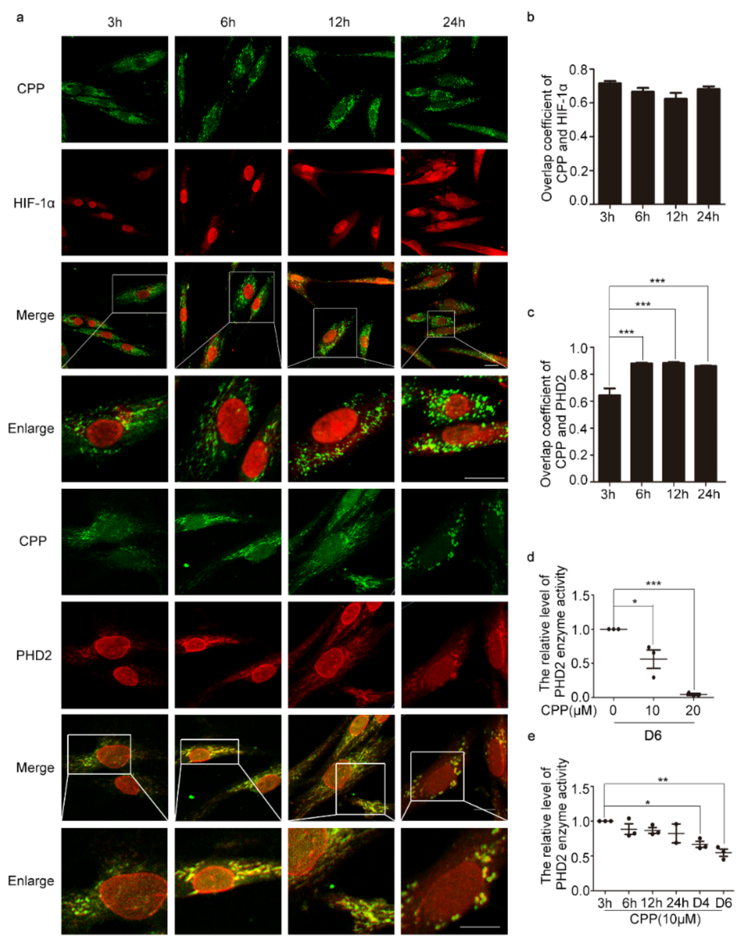 Cells 11 03126 g003 Cells 11 03126 g003