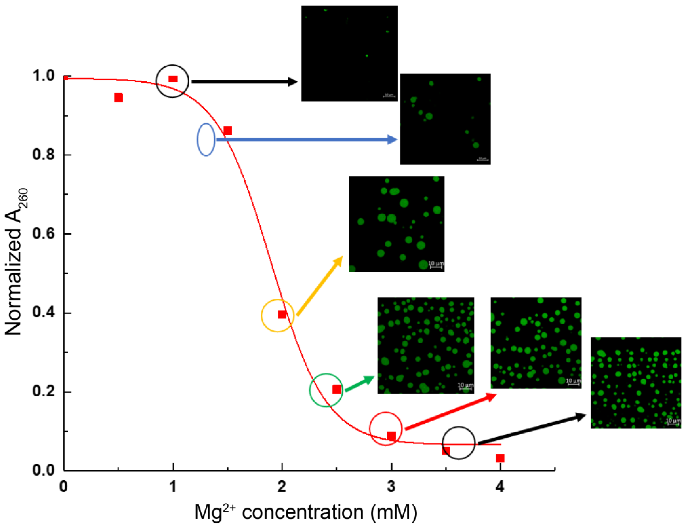 Cells 11 03145 g006 Cells 11 03145 g006