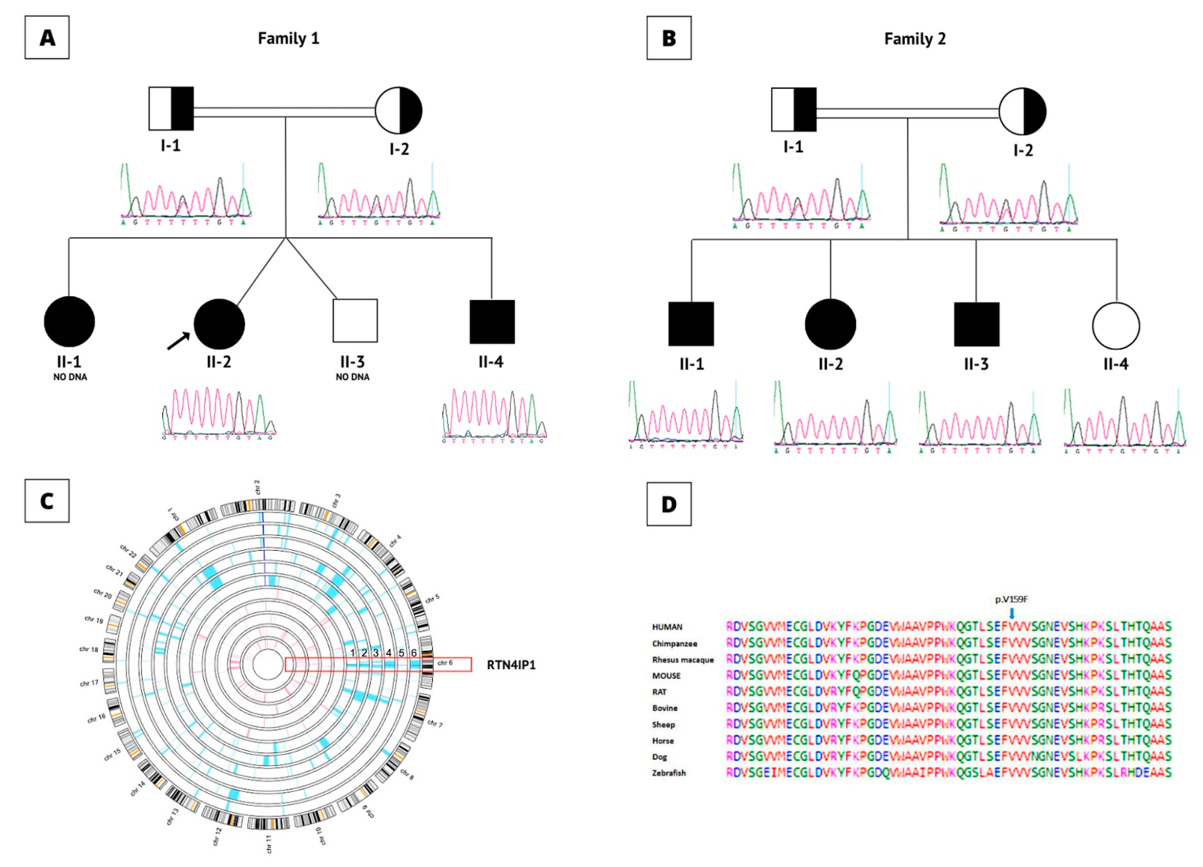 Cells 11 03154 g004 Cells 11 03154 g004