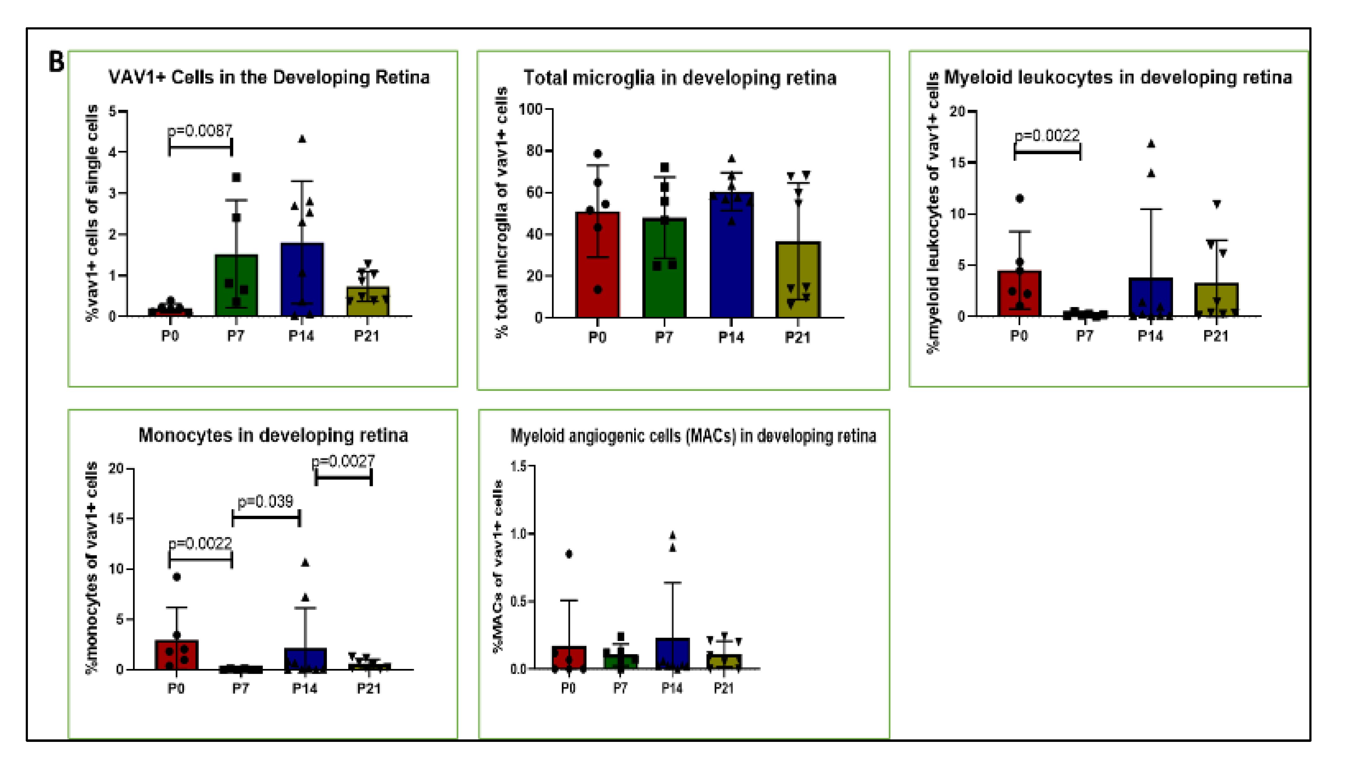 Cells 11 03207 g001b Cells 11 03207 g001b