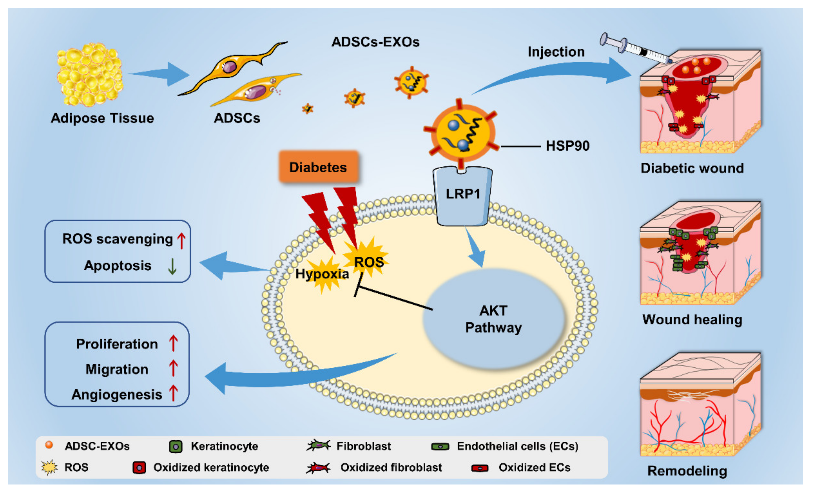 Cells 11 03229 g008 Cells 11 03229 g008